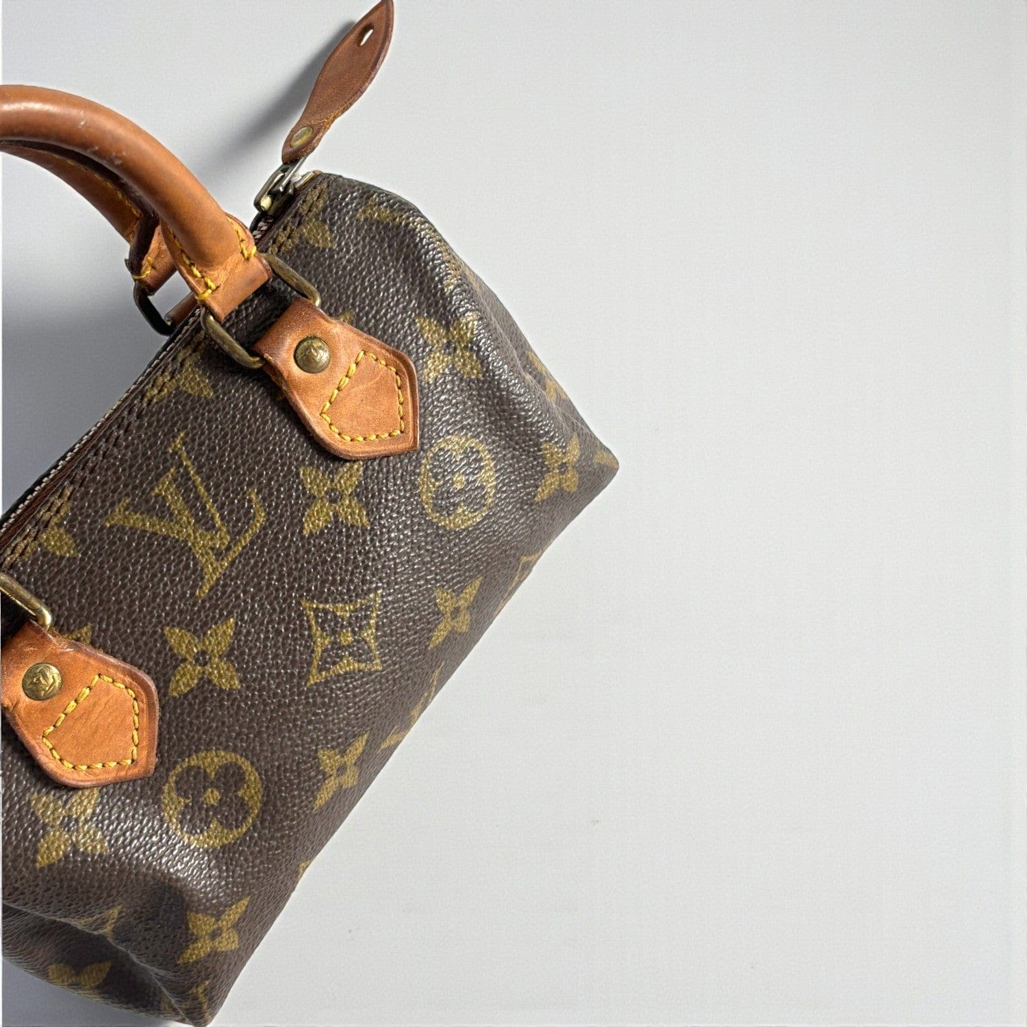 AMANA Le Nano Speedy Louis Vuitton