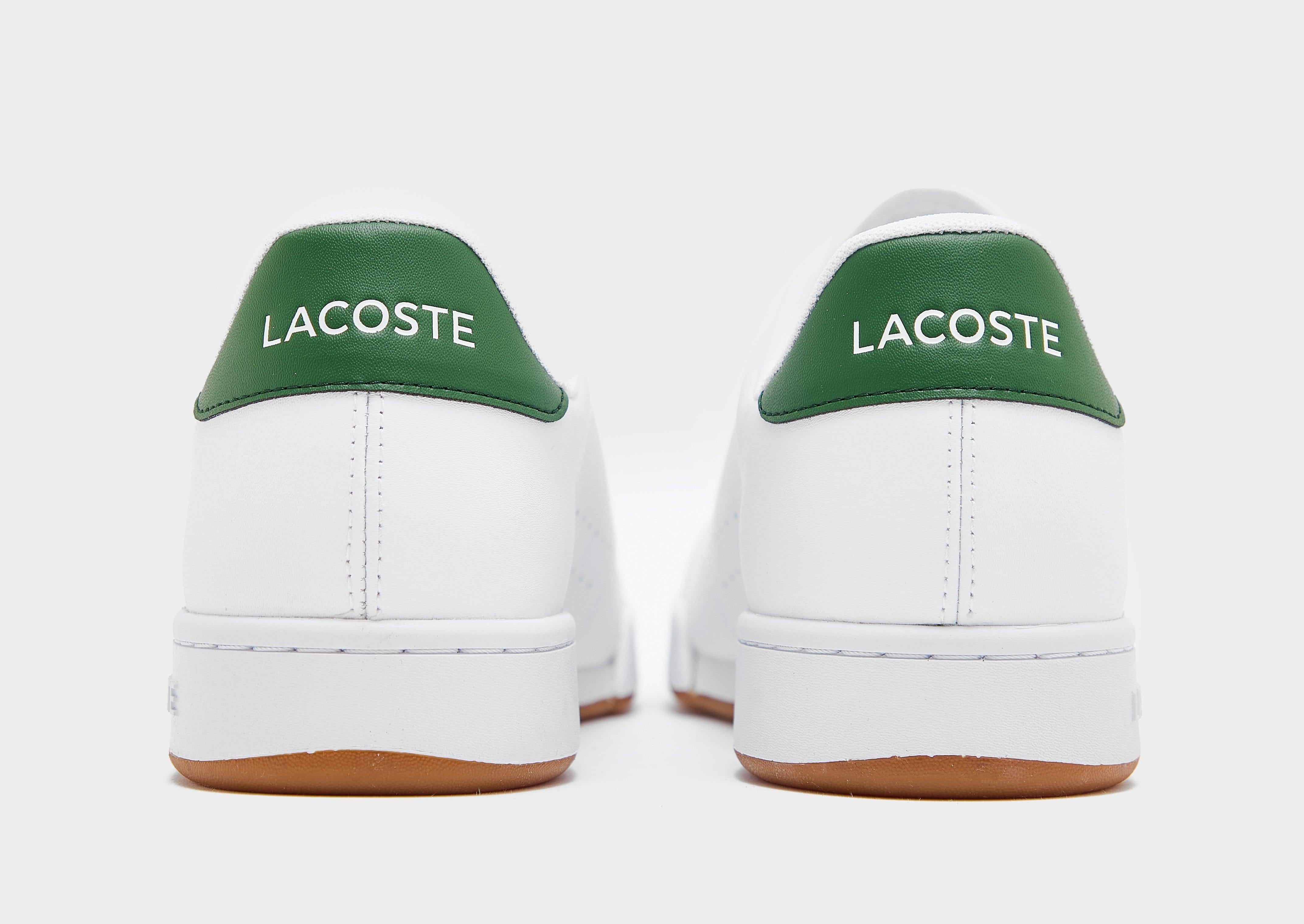 Lacoste Carnaby Cup