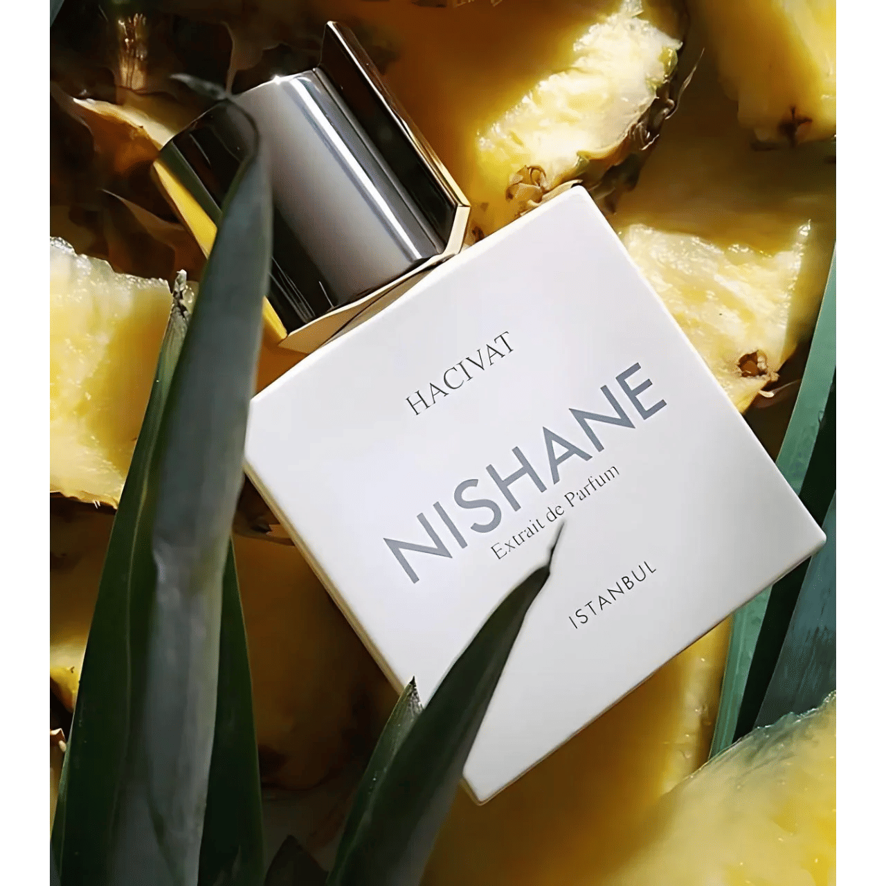 Nishane Hacivat for Unisex Extrait De Parfum 100 ml