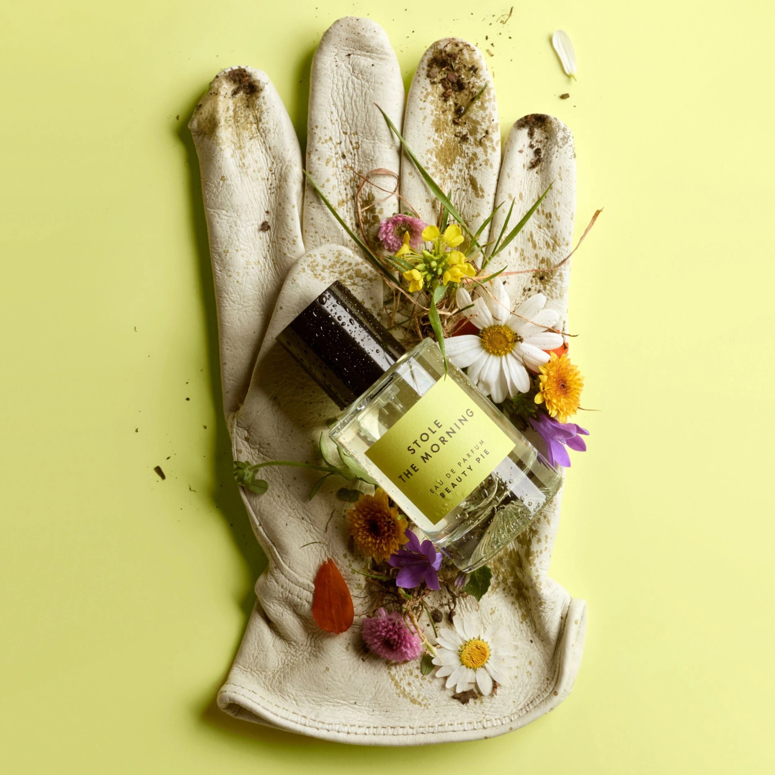 Beauty Pie Stole The Morning Eau De Parfum