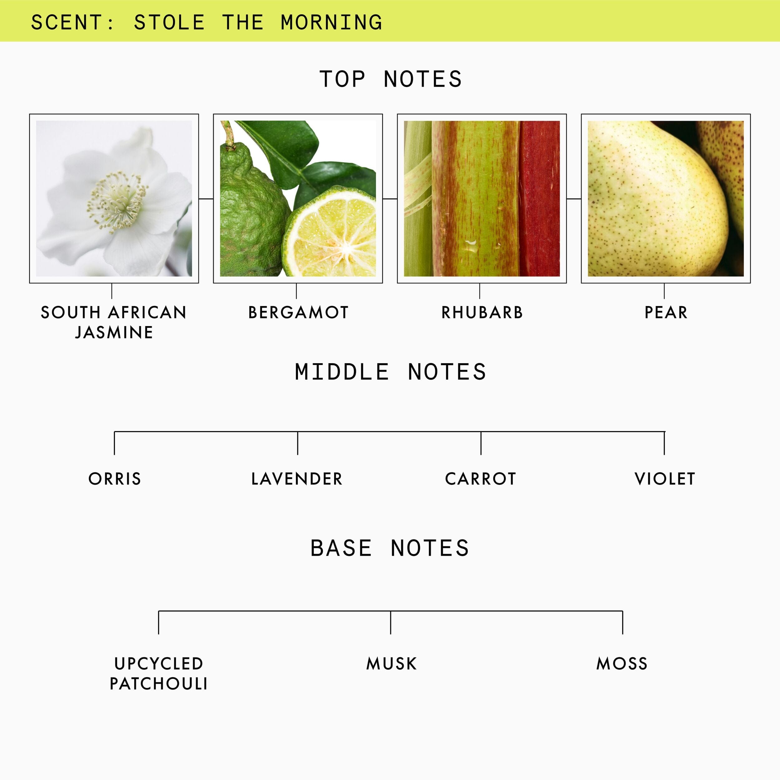 Beauty Pie Stole The Morning Eau De Parfum