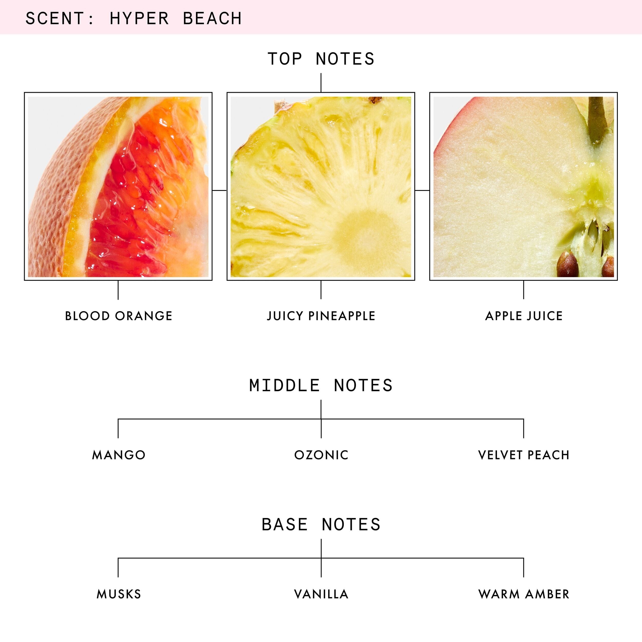 Beauty Pie Hyper Beach Eau De Parfum