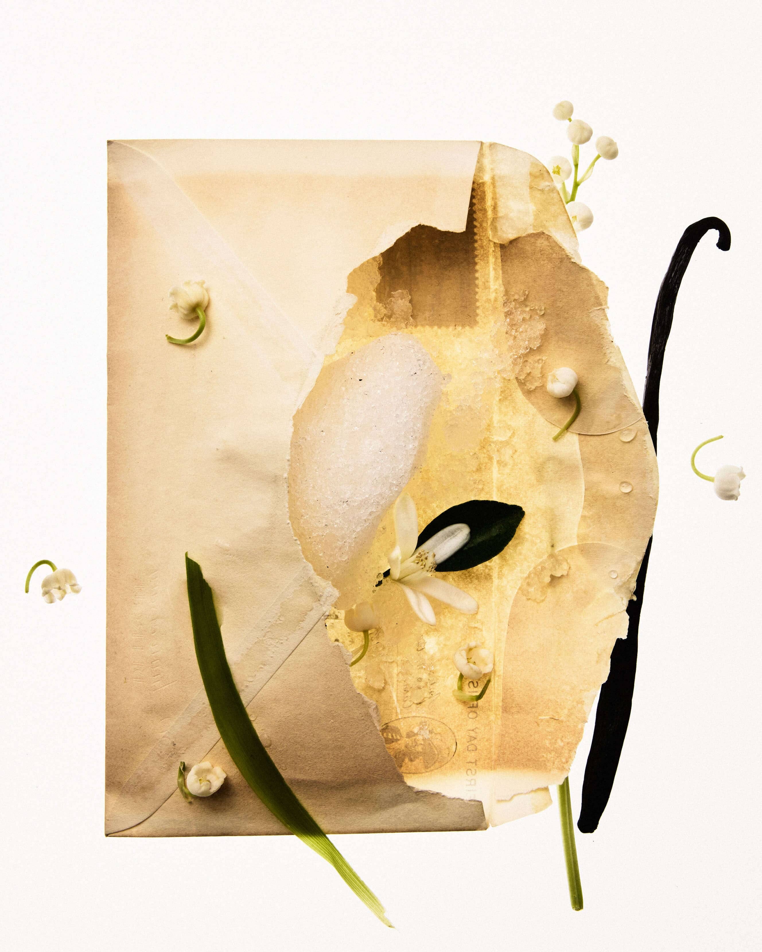 Serviette Frisson D'Hiver Eau de Parfum