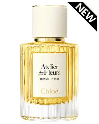 Chloe Cedrus Intense