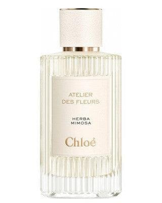 Chloe Herba Mimosa