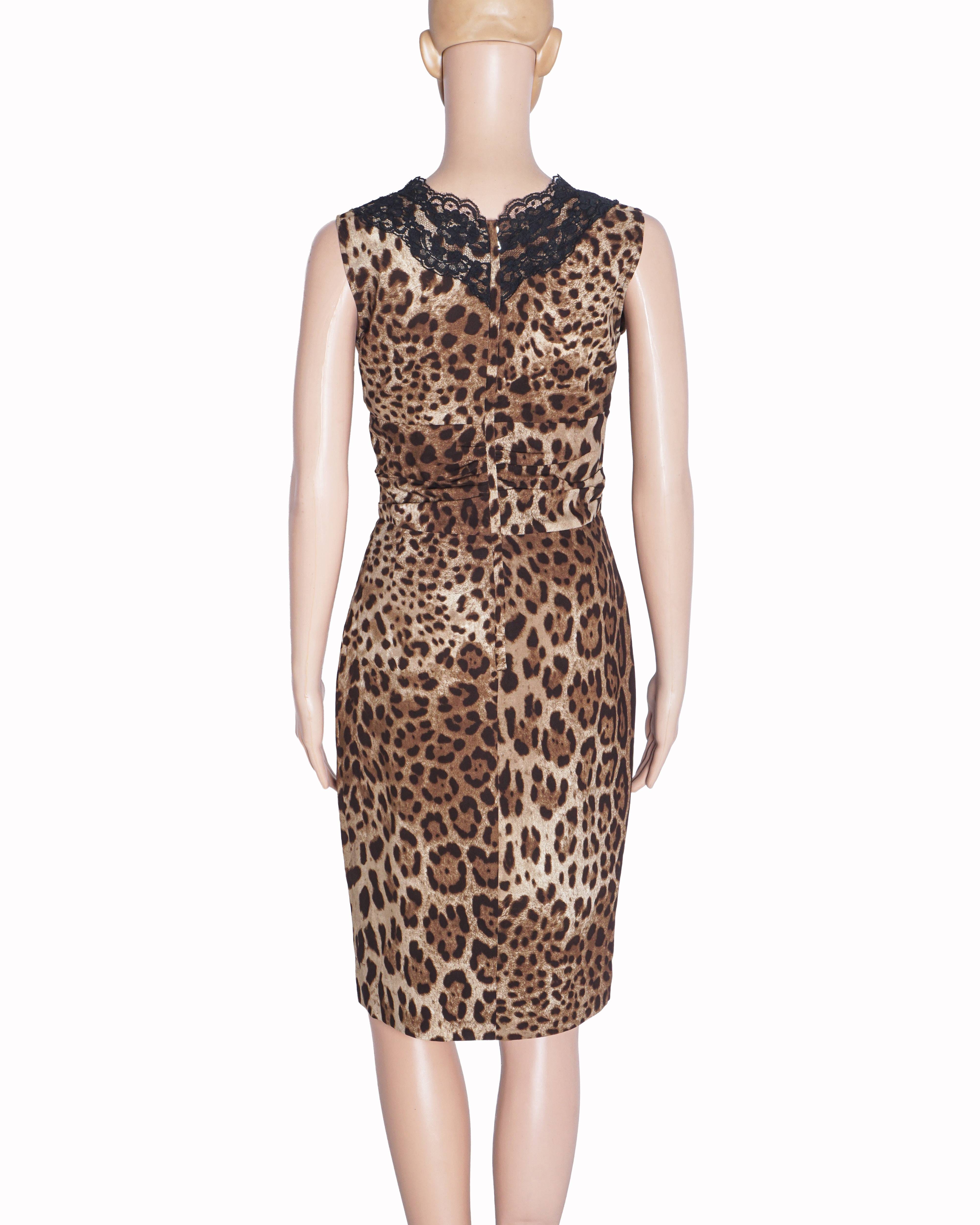 Dolce & Gabbana Leopard Print Lace - Trim V - Neck Midi Dress