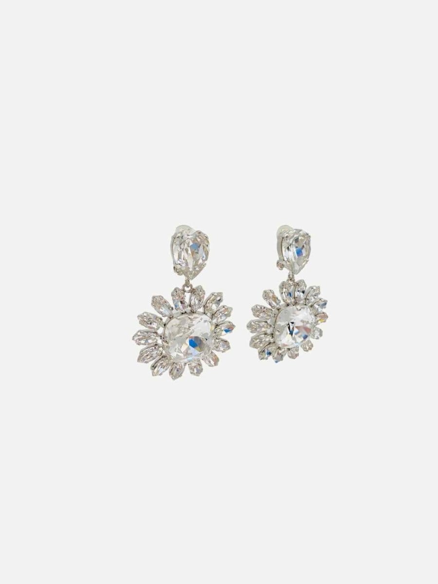 Dolce & Gabbana Fashion Earrings
