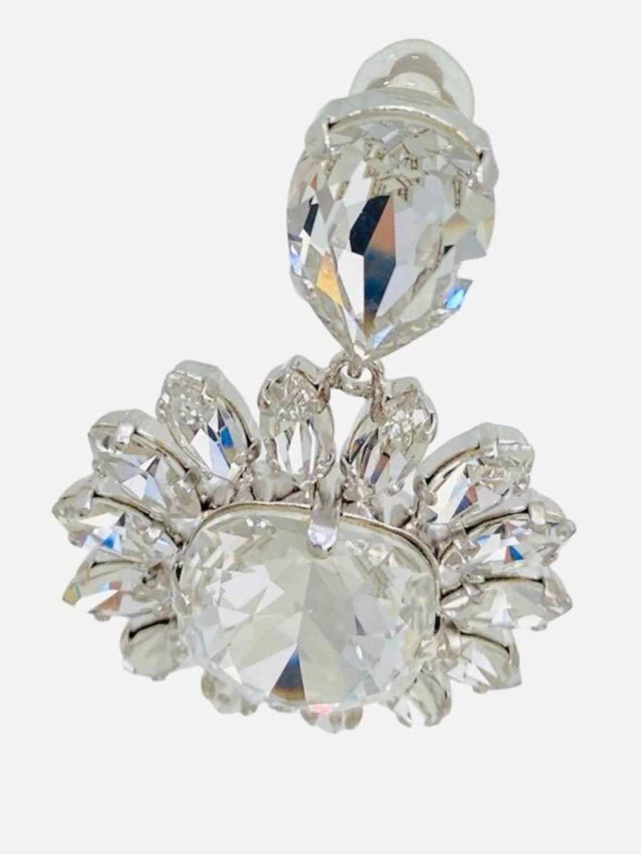 Dolce & Gabbana Fashion Earrings