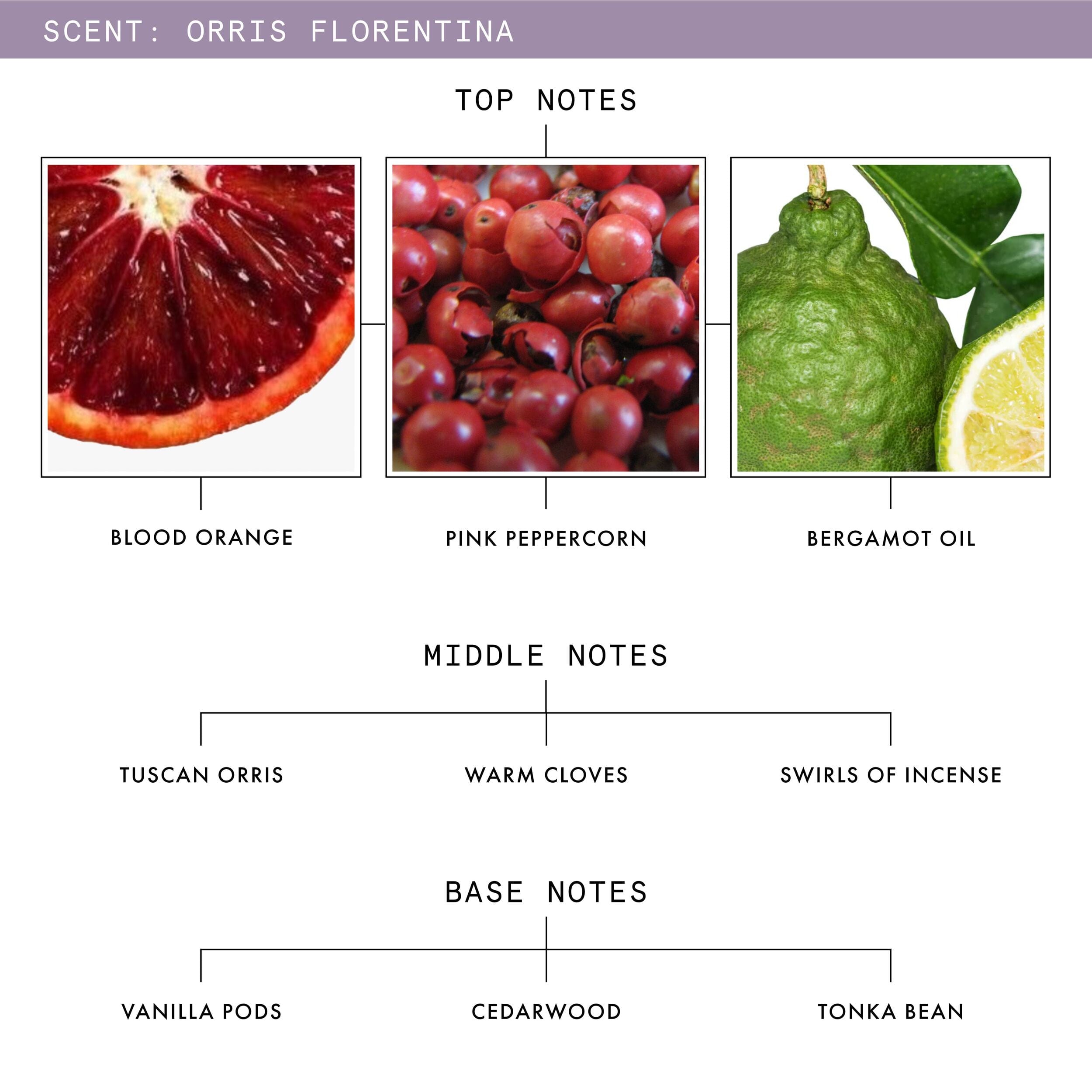 Orris Florentina Eau De Parfum
