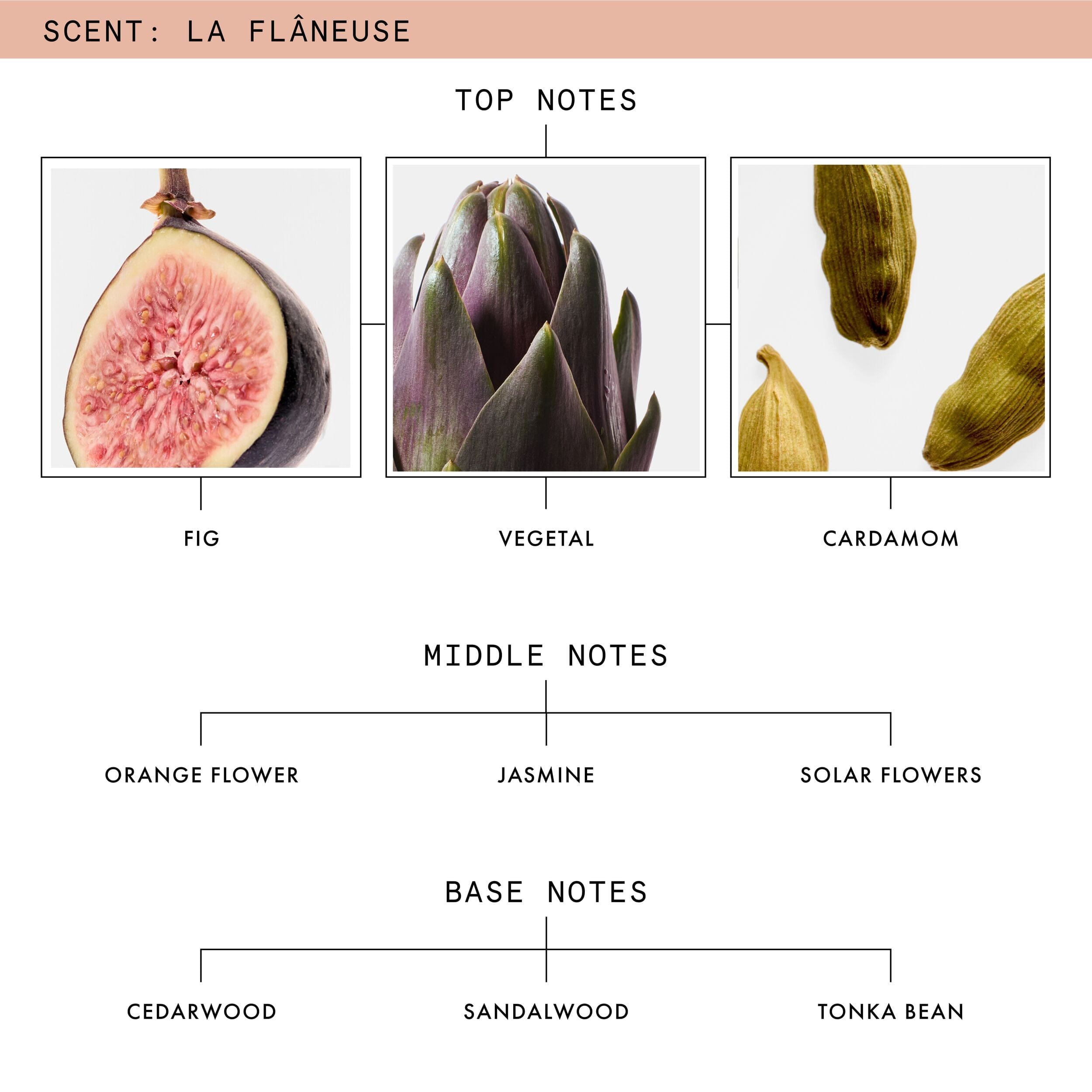 Beauty Pie La Flâneuse Eau De Parfum