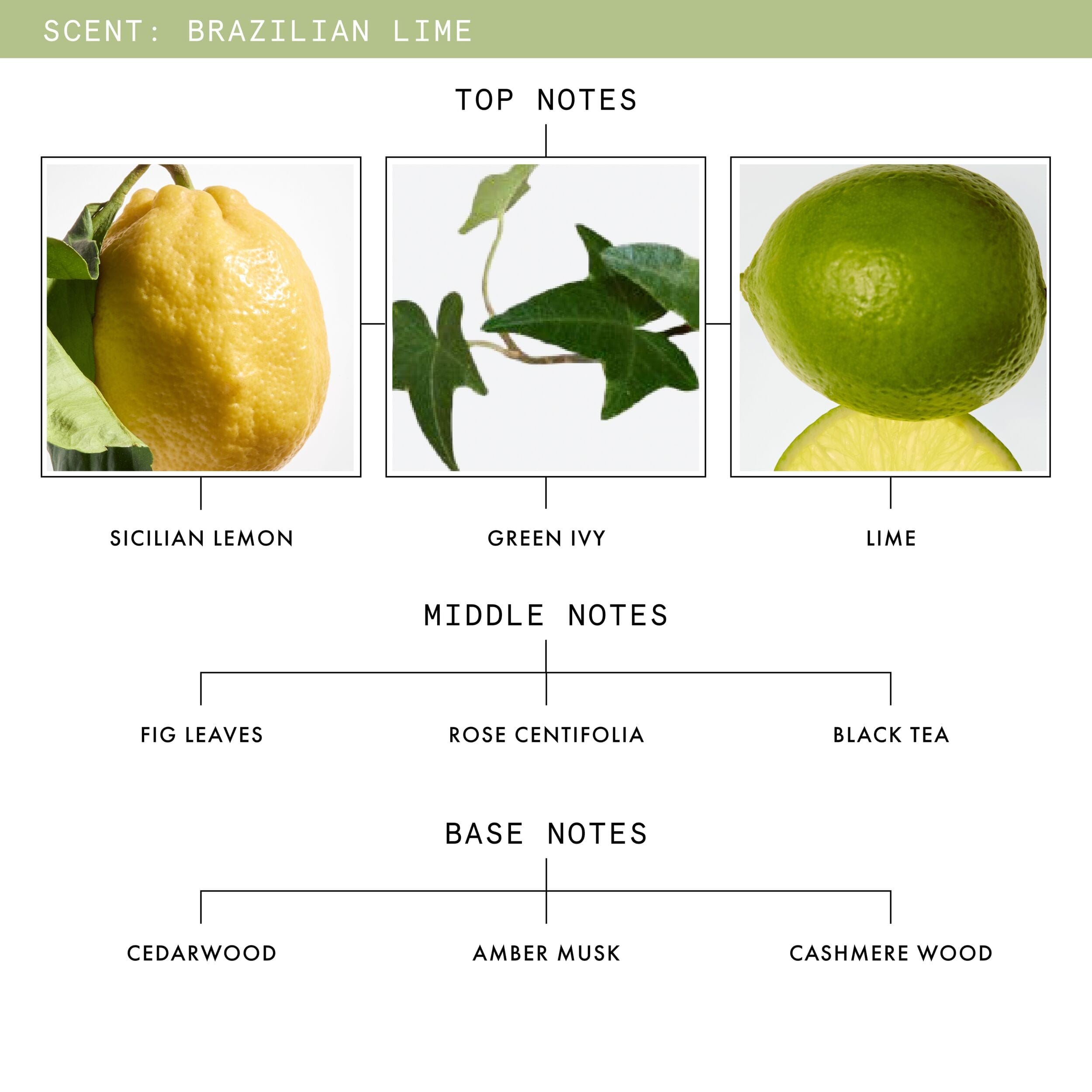 LIME Brazilian Lime, Fig Leaves & Tea Eau De Parfum