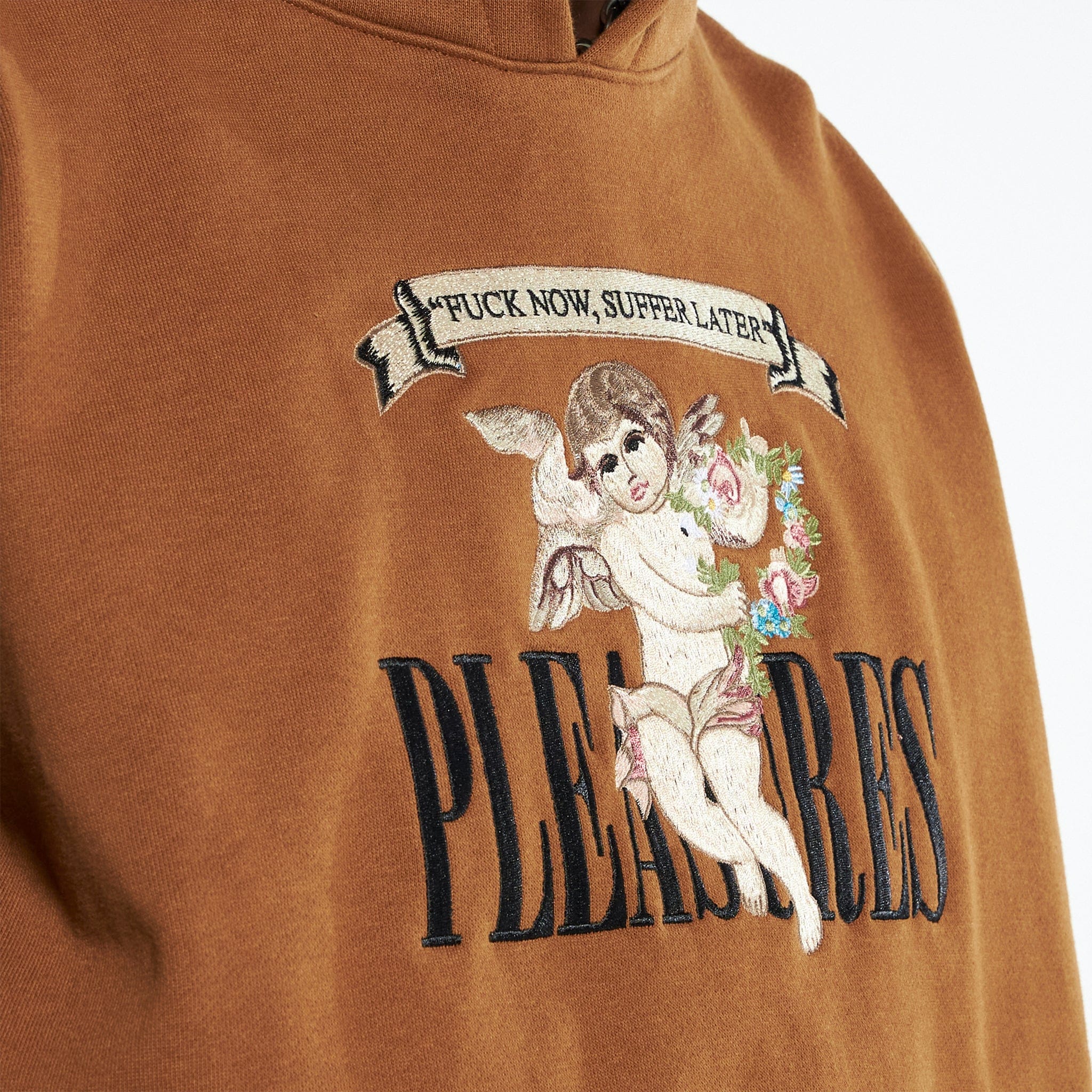 Pleasures Suffering Hoodie (Rust)