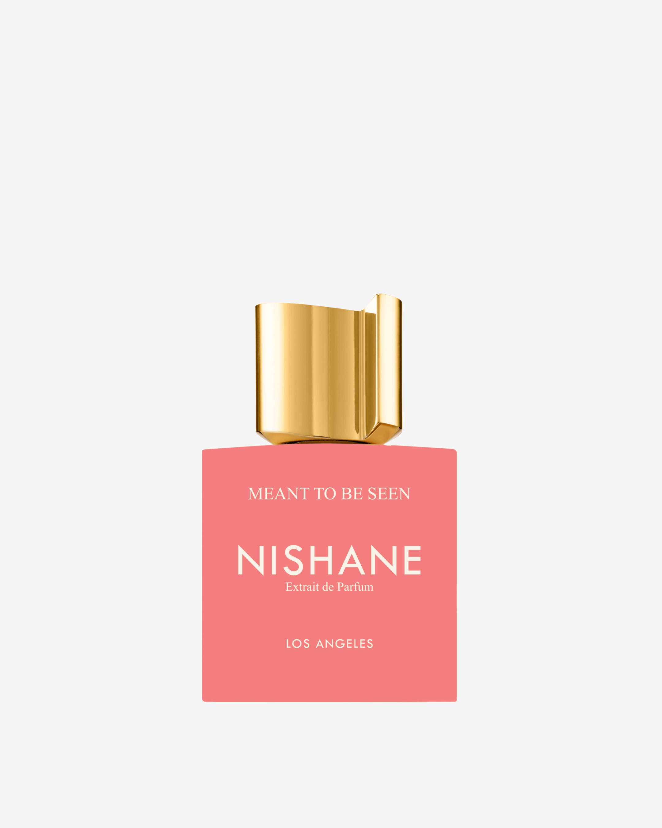 Nishane Meant To Be Seen Parfum (100 ml)