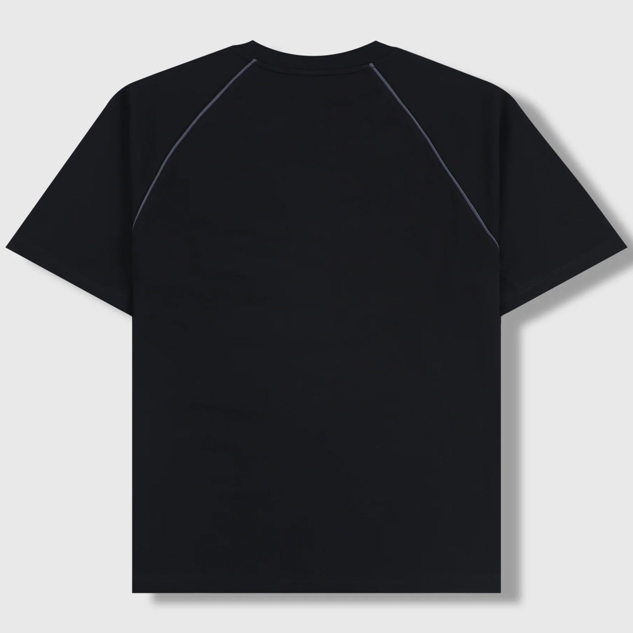 Pleasures CRUMBLE HEAVYWEIGHT RAGLAN (BLACK)