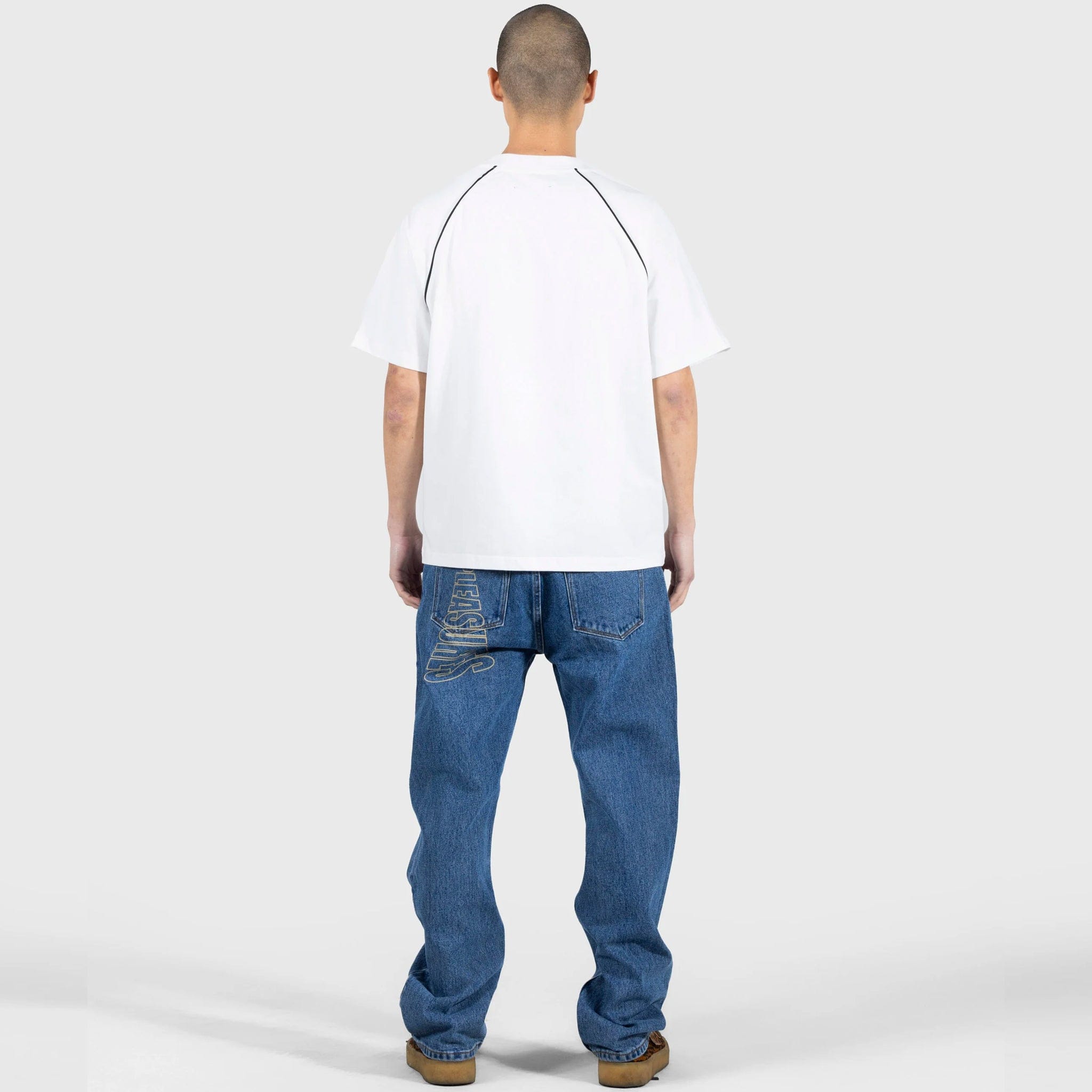 Pleasures CRUMBLE HEAVYWEIGHT RAGLAN (WHITE)