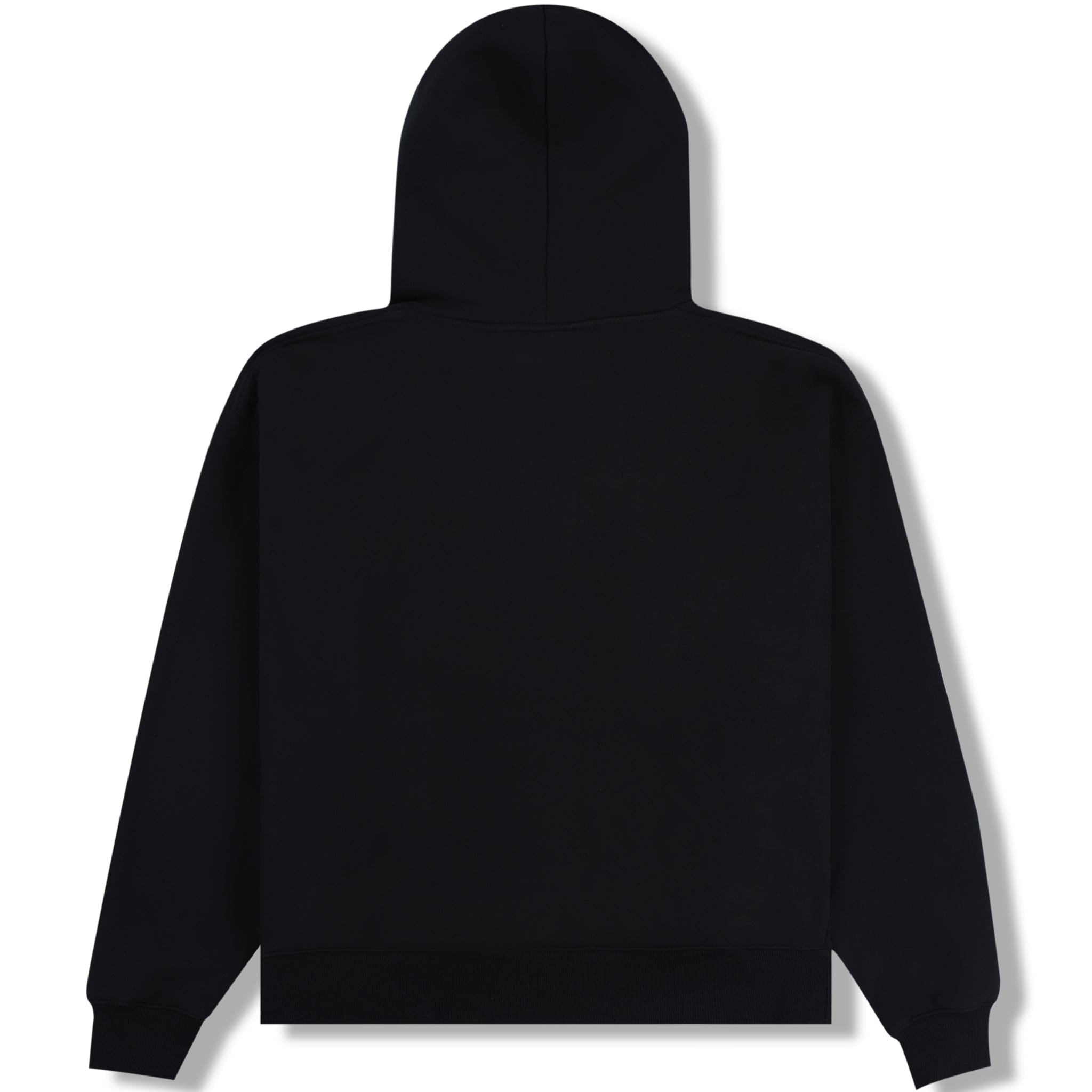 Pleasures PUNK DUCK HOODIE