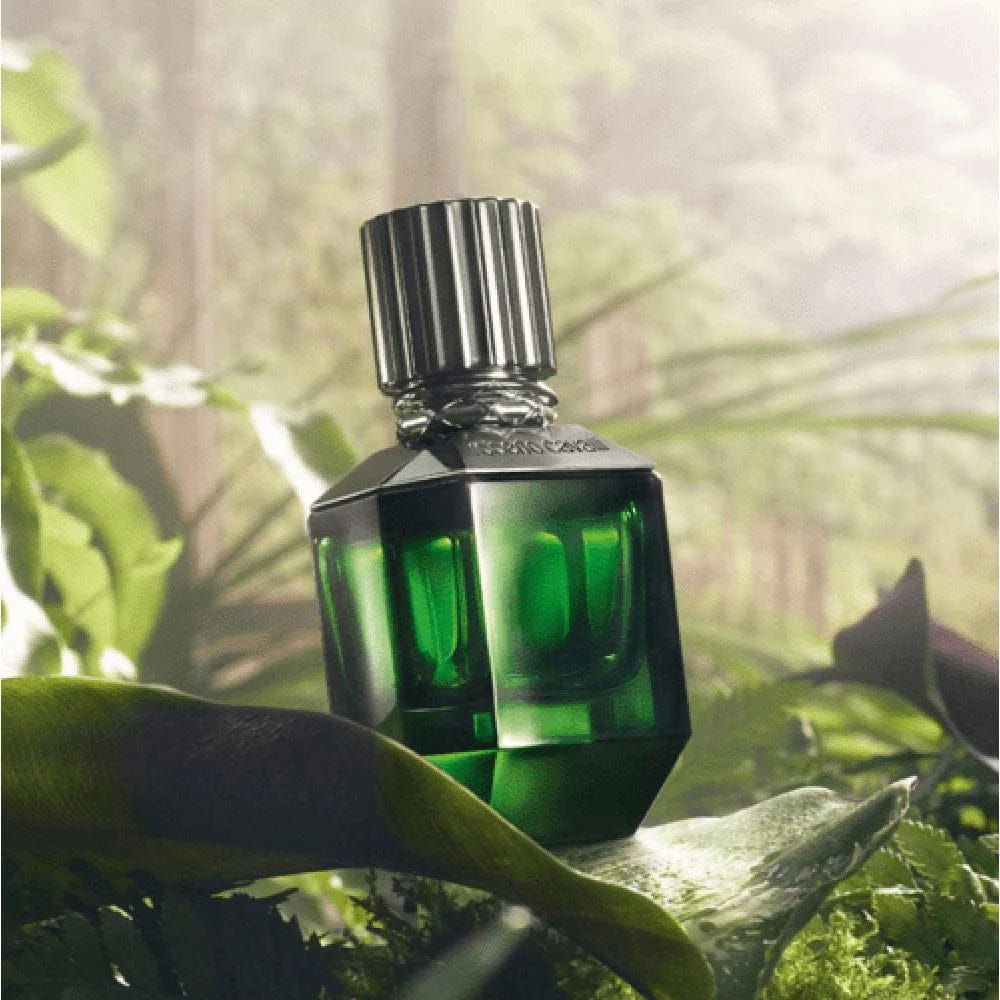 Roberto Cavalli Paradise Found for Men EDT 75 ml