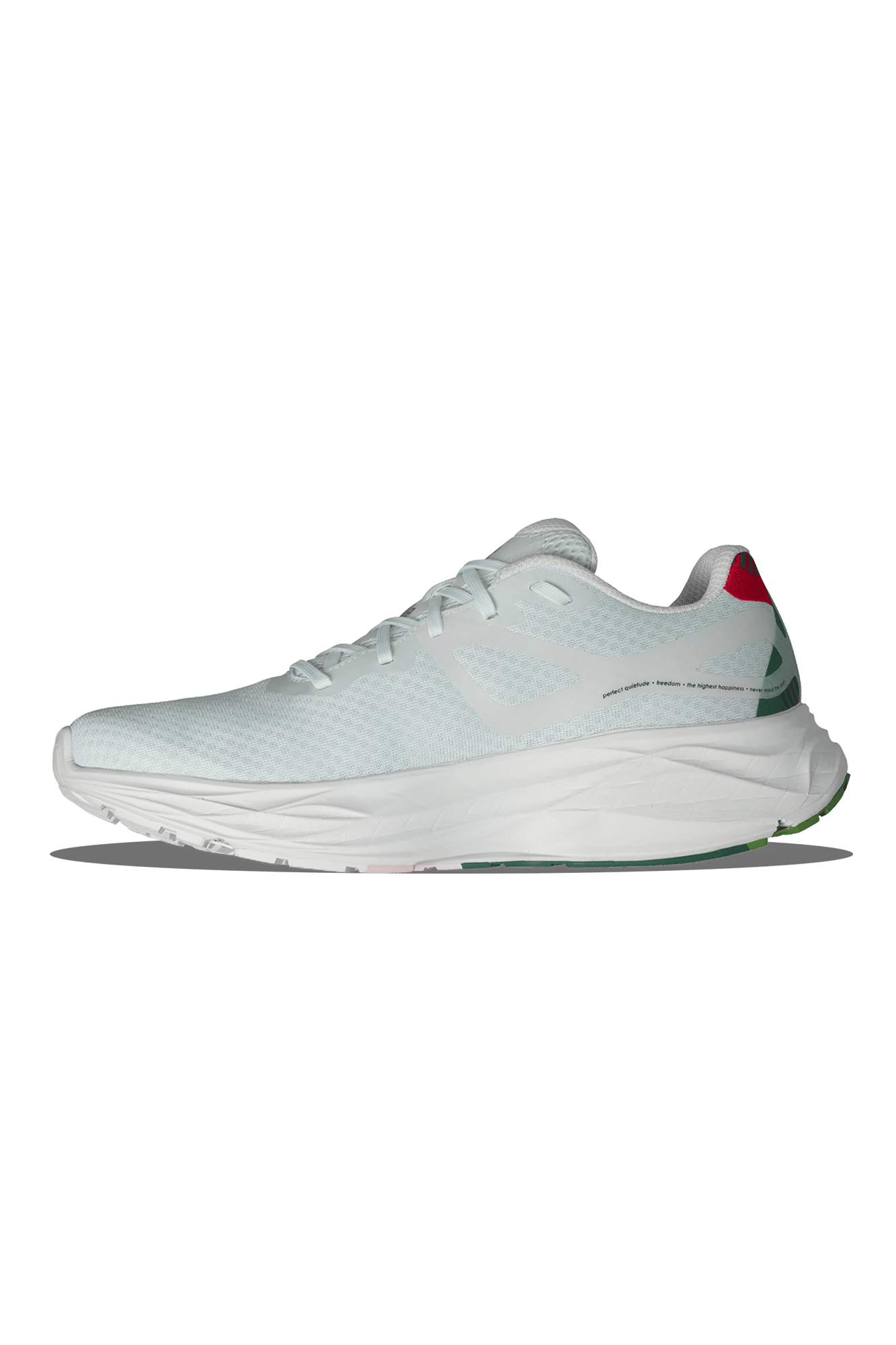 Salomon Advanced Aero Glide x Ciele