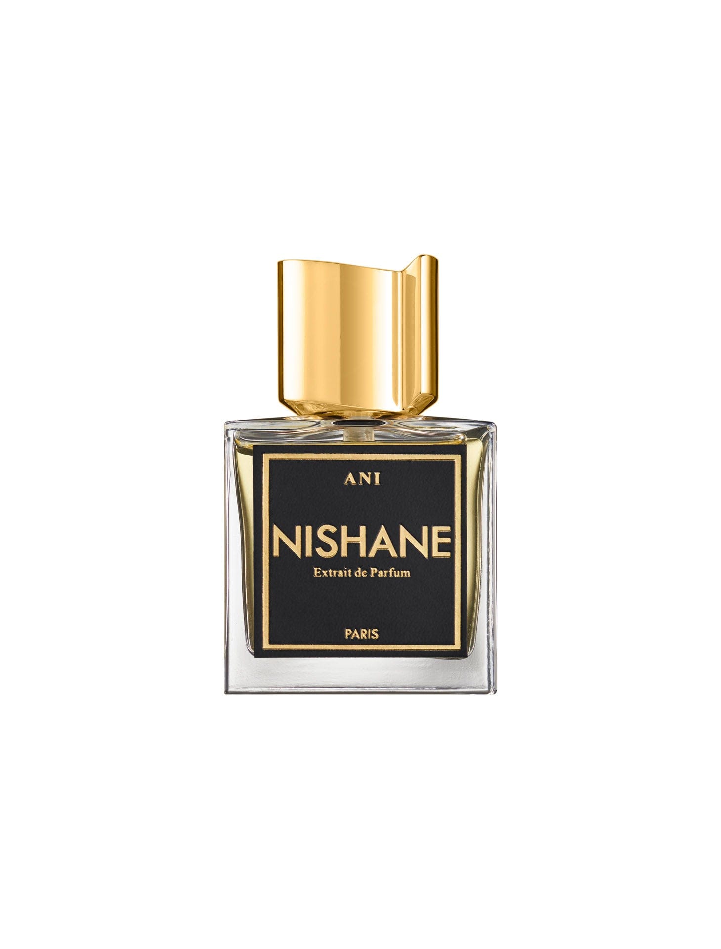 Nishane Ani Extrait De Parfum 100 ml