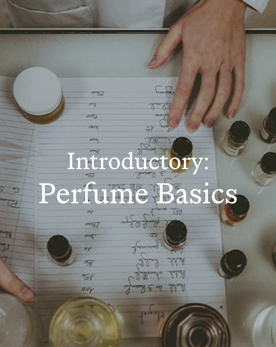 Libertine Perfume Basics On - Demand Masterclass