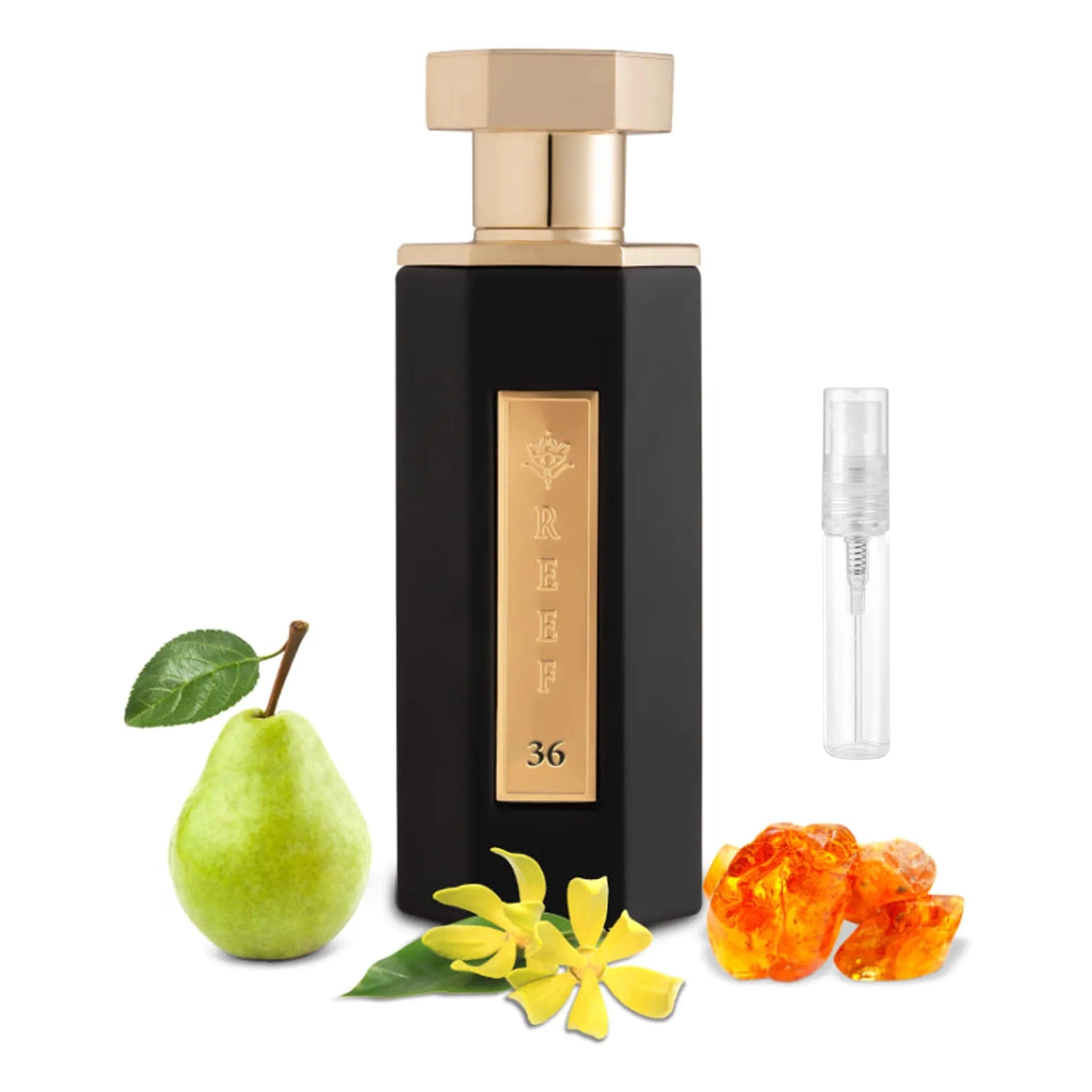 REEF Perfumes REEF 36 Eau De Parfum SAMPLE