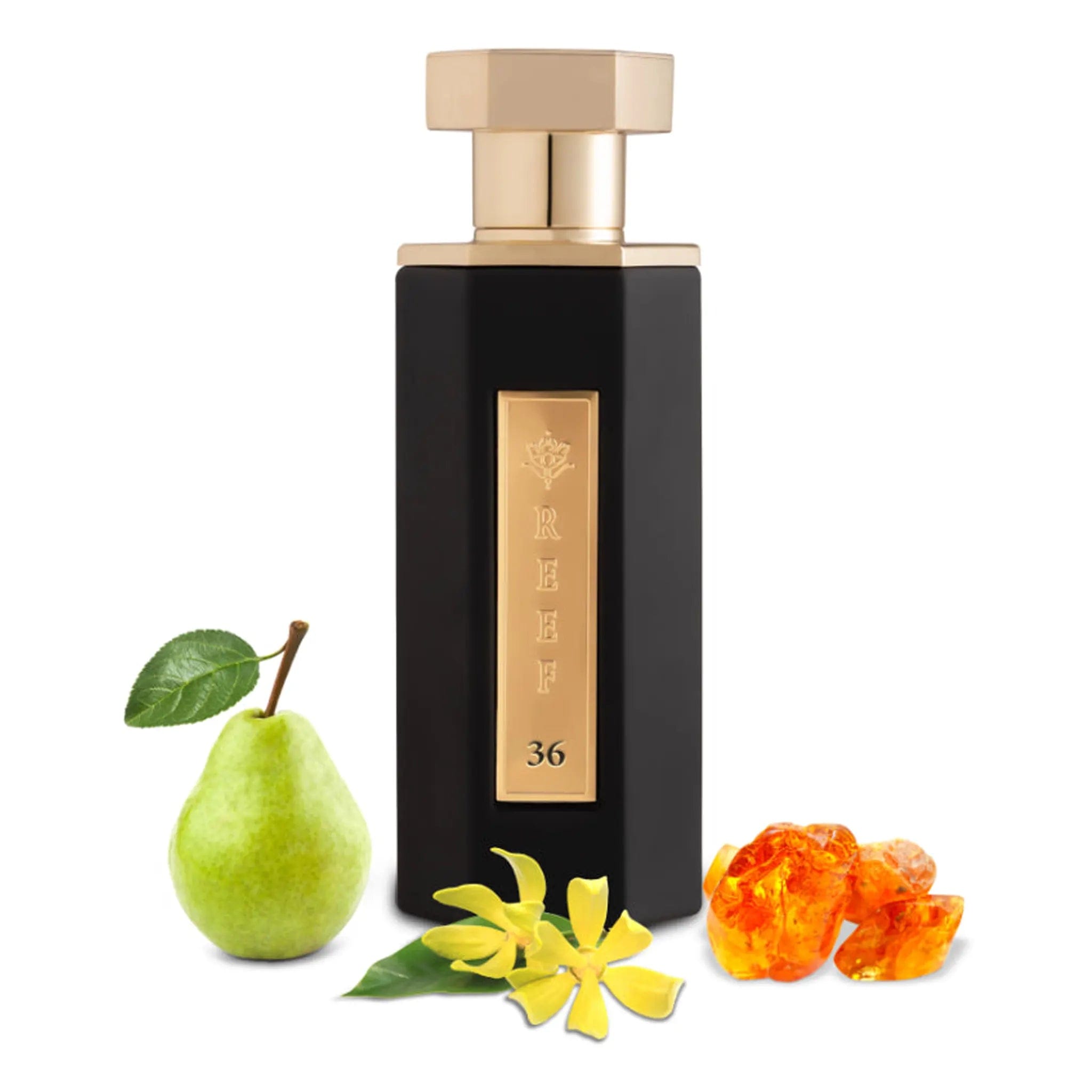 REEF Perfumes REEF 36 Eau De Parfum SAMPLE