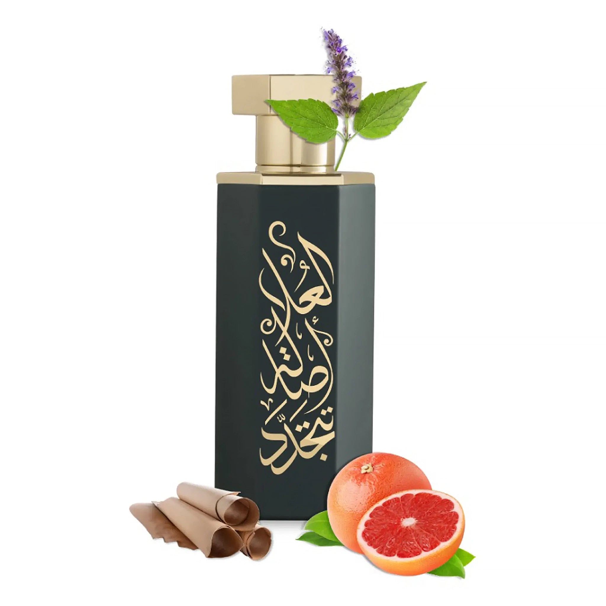 REEF Perfumes REEF Arabs of AlUla Eau De Parfum SAMPLE