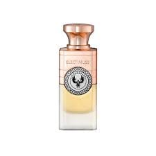 Electimuss Celestial EDP 100 ml - Luxury Niche Perfume UAE | Niche Gallery