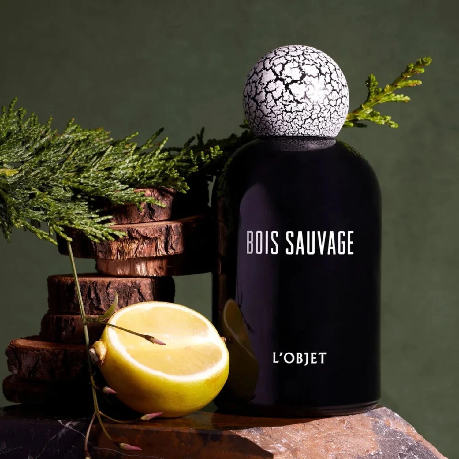 L'objet Bois Sauvage