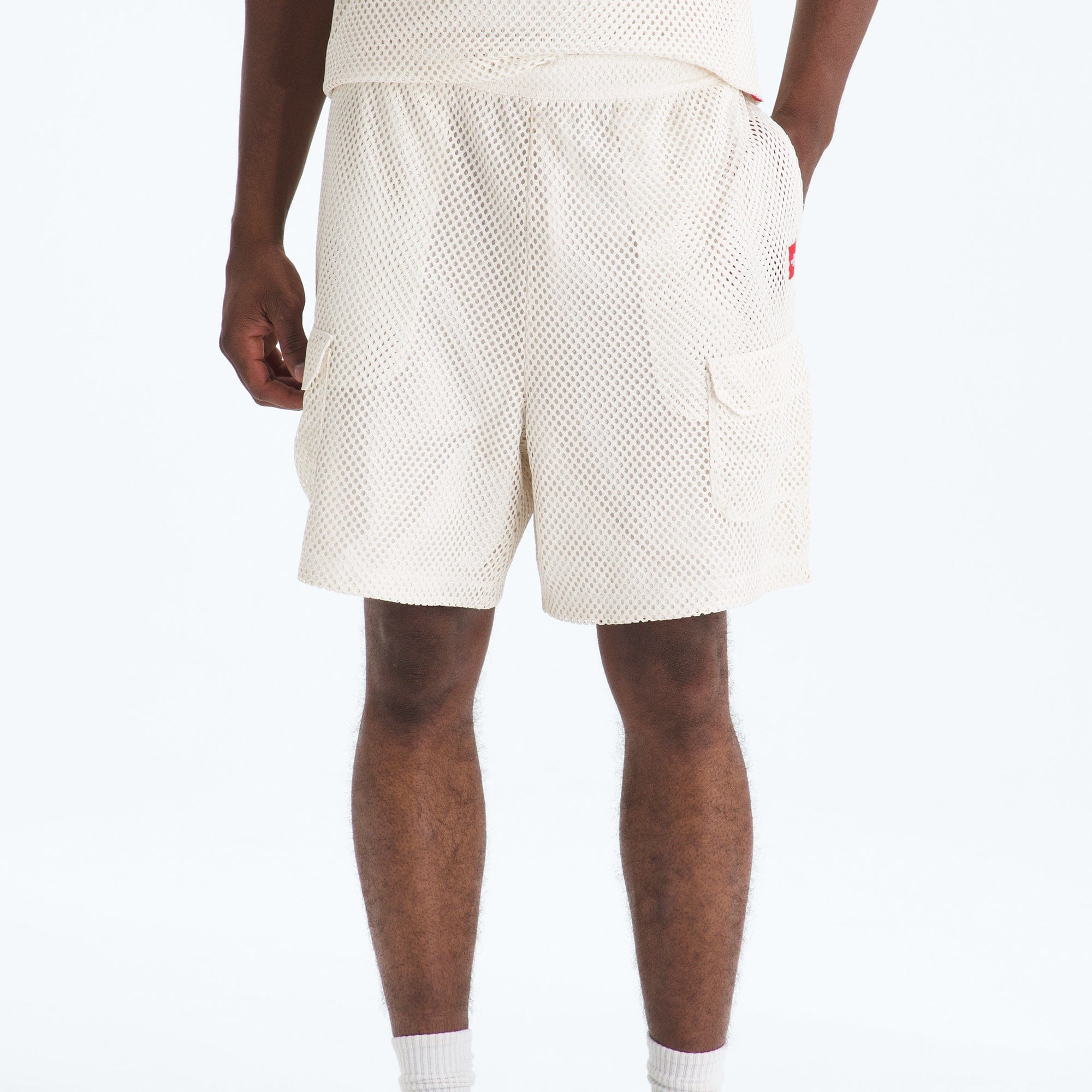 The North Face Mens Red Box Mesh Utility Short