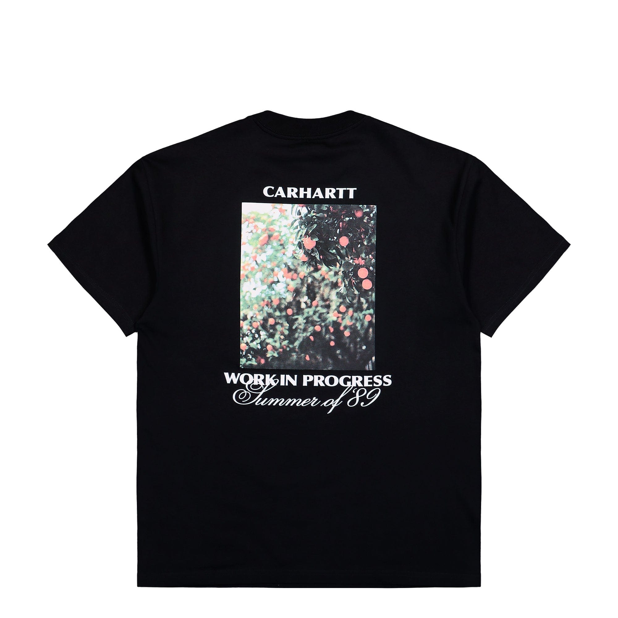 Carhartt WIP S/S Warm Views T - Shirt