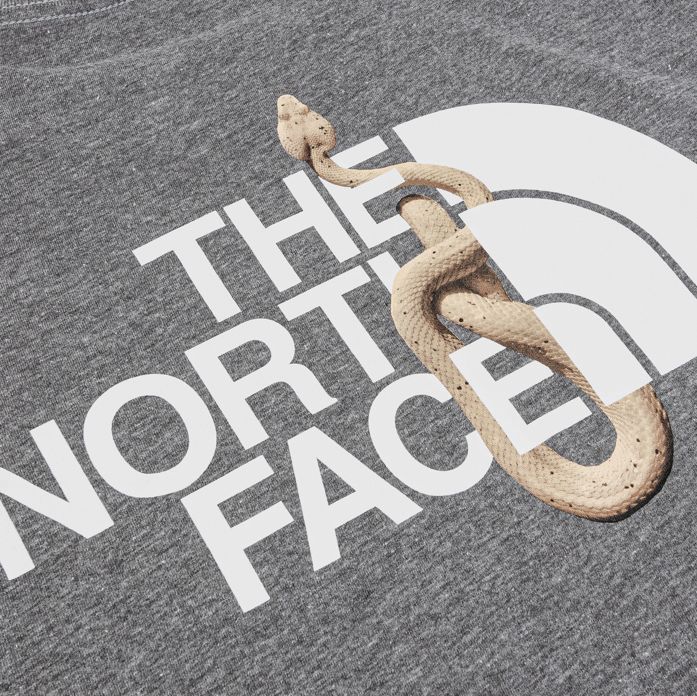 THE NORTH FACE Lunar Snake Graphic Mens Short Sleeve Shirt (Grey/White)