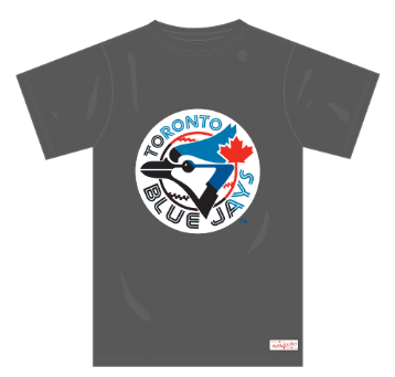 Mitchell & Ness Blue Jays World Series Program T Slate