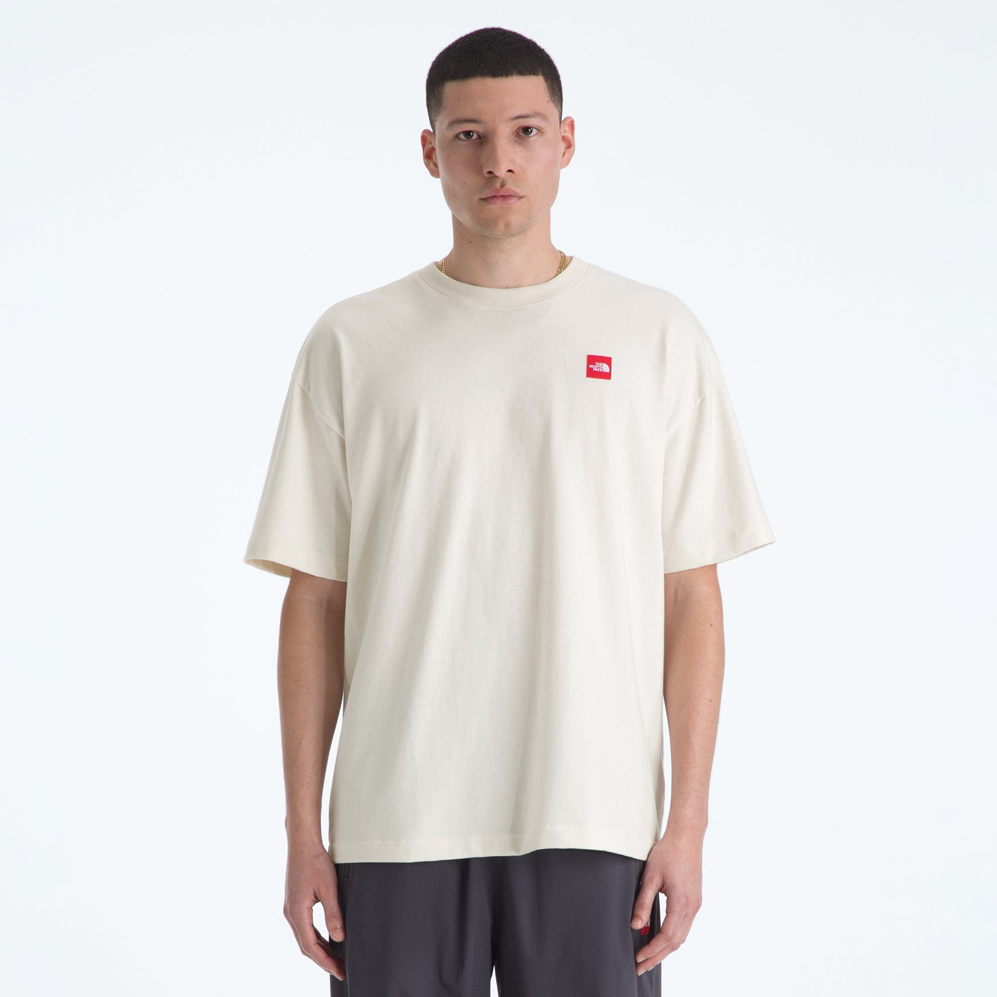 The North Face Mens Red Box S/S T-Shirt