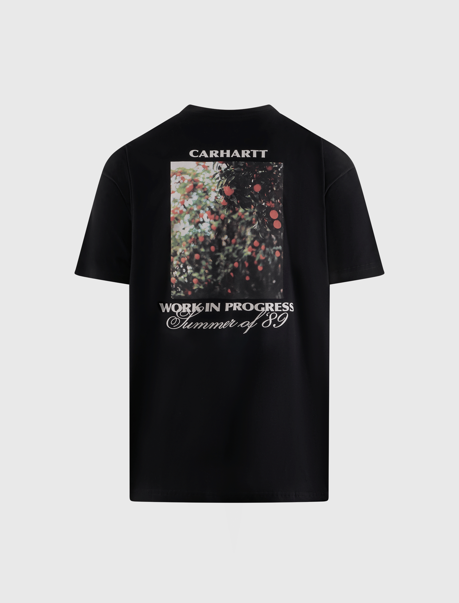 Carhartt WIP WARM VIEWS T-Shirt
