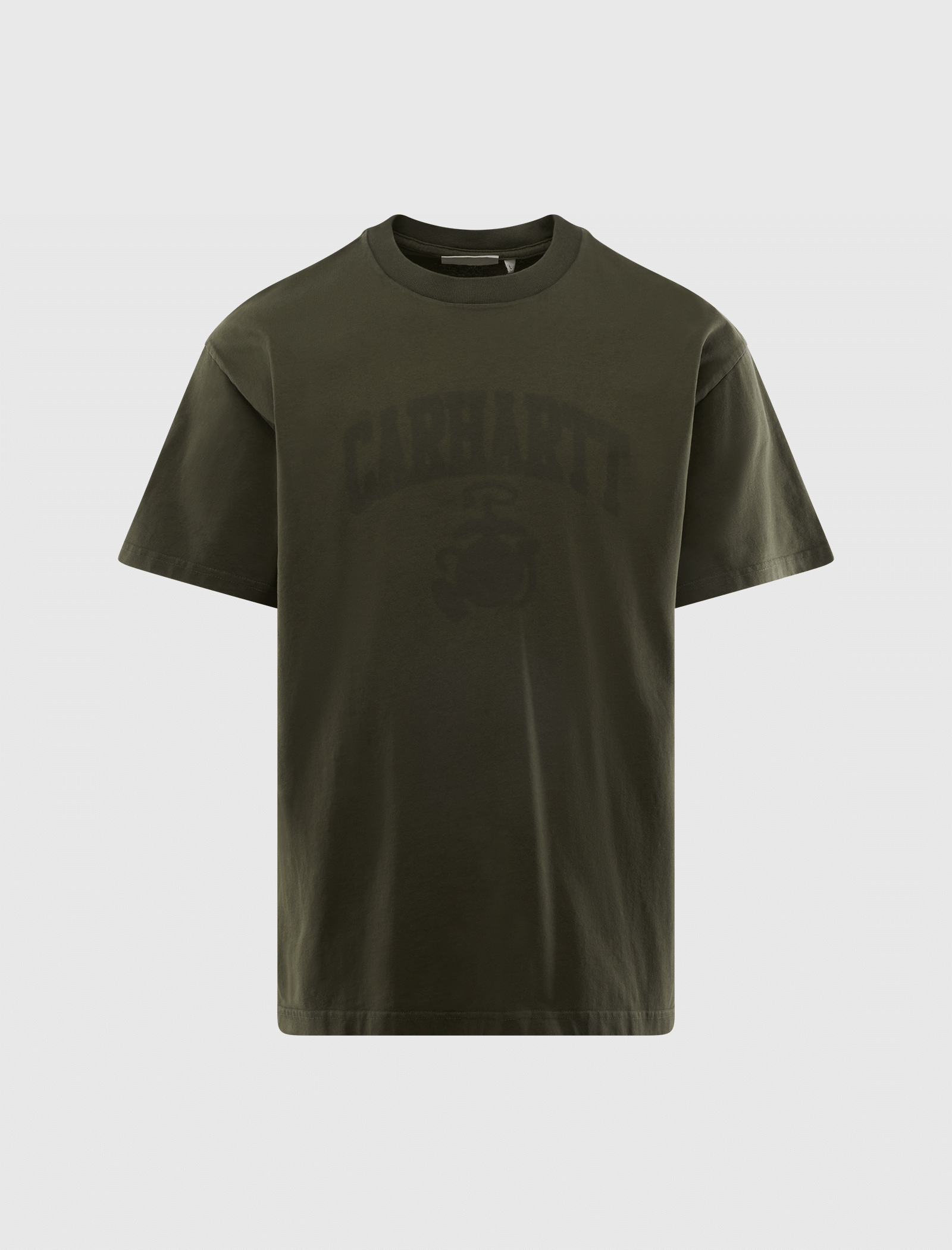 Carhartt WIP FADED POND CORPS T-Shirt