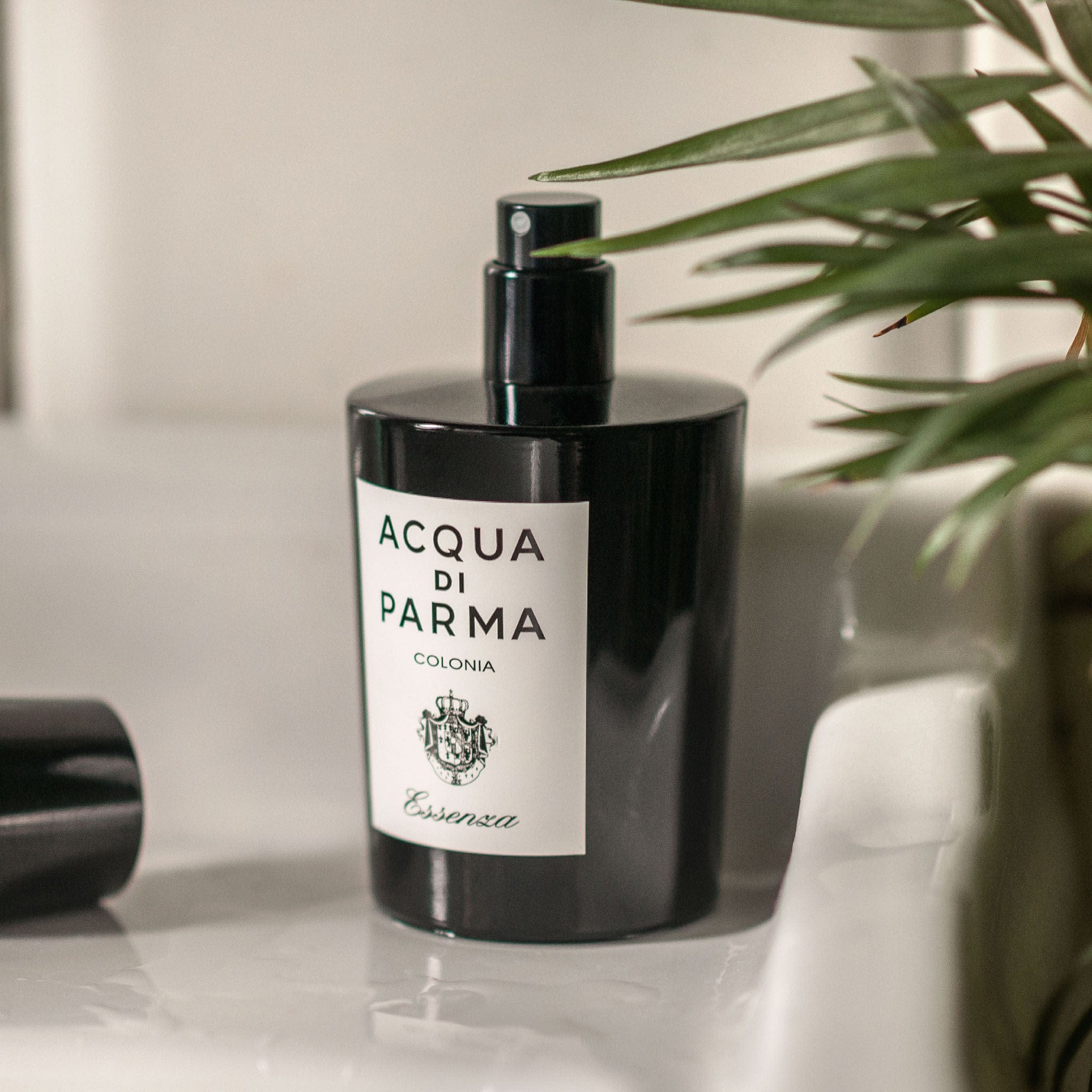Acqua Di Parma Colonia Essenza Eau de Cologne