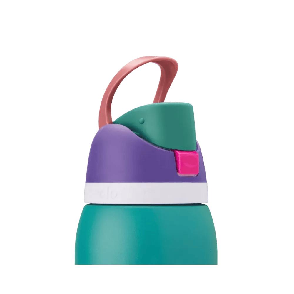 Owala Freesip 32 oz 80s Ski Slopes