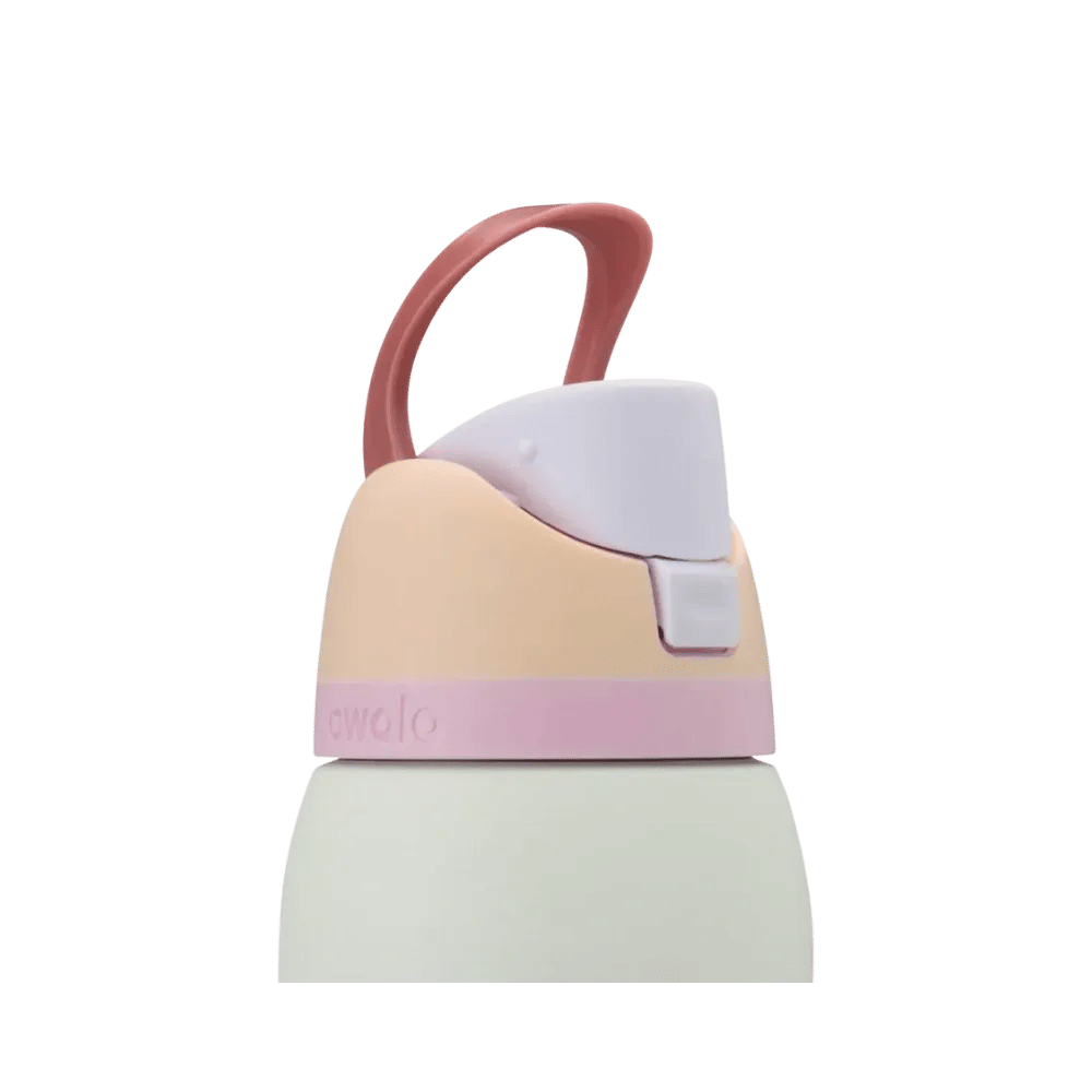 Owala Freesip 32 oz Coastal Mist