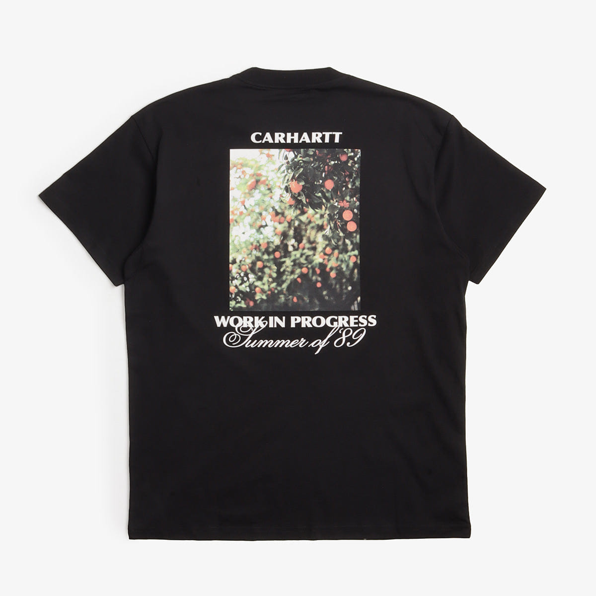 Carhartt WIP Warm Views T - Shirt