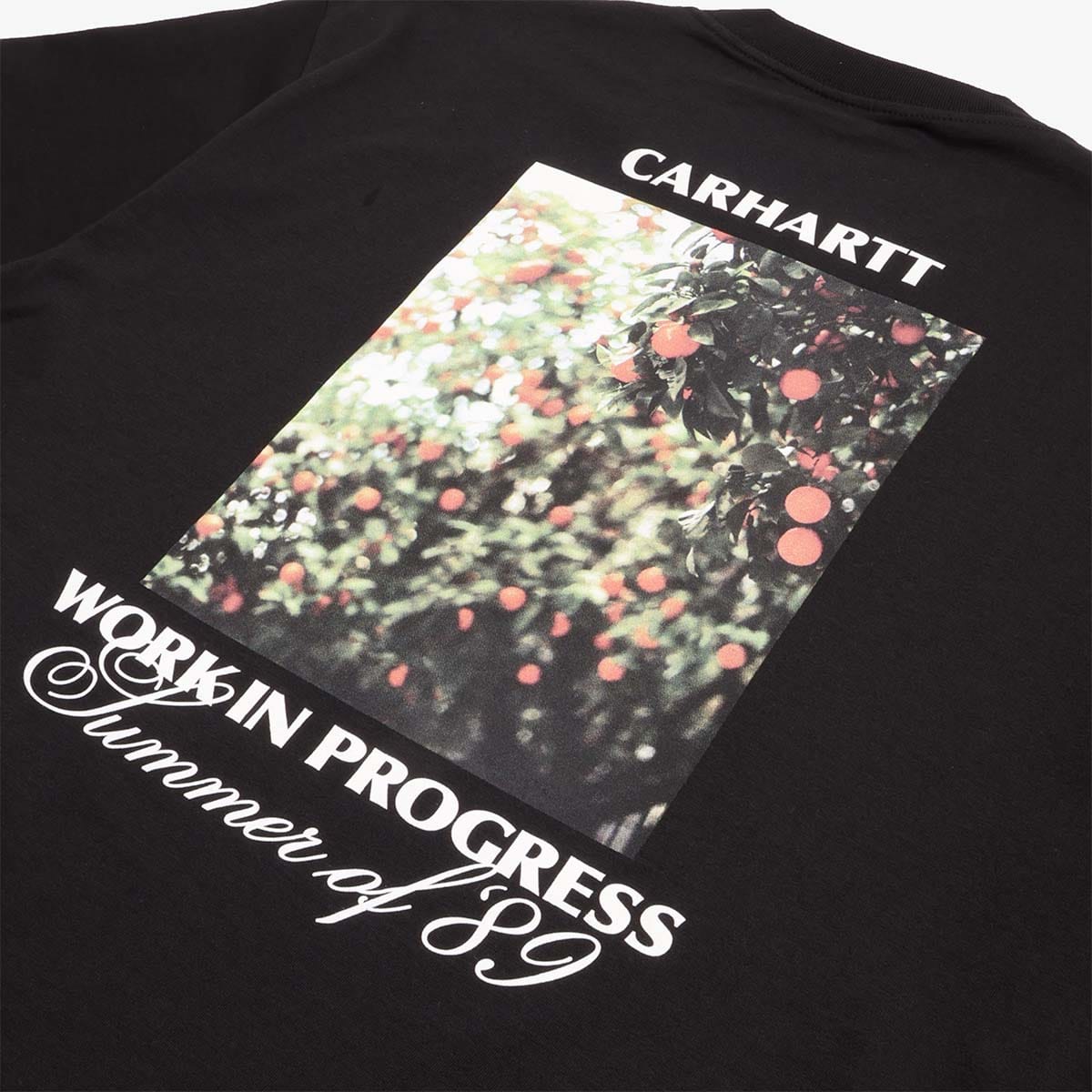 Carhartt WIP Warm Views T - Shirt