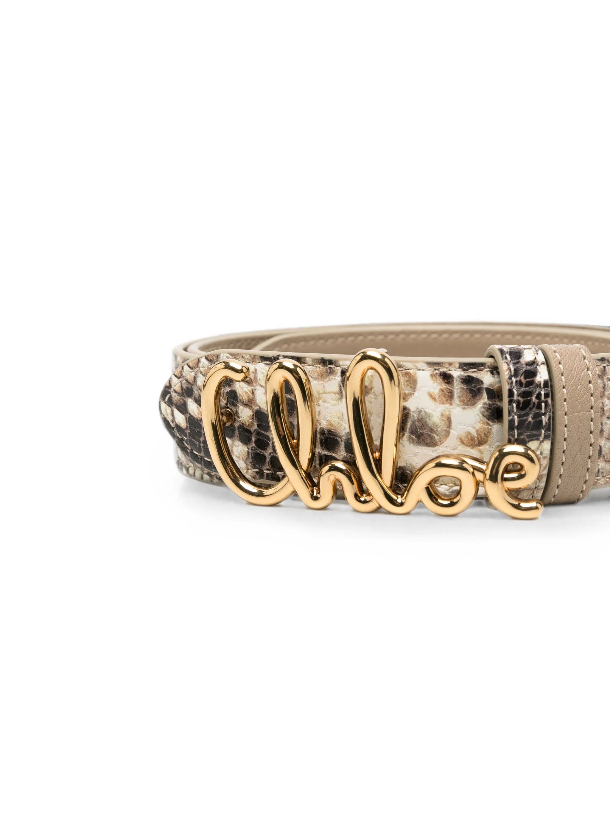 Chloé logo - buckle snake - effect belt