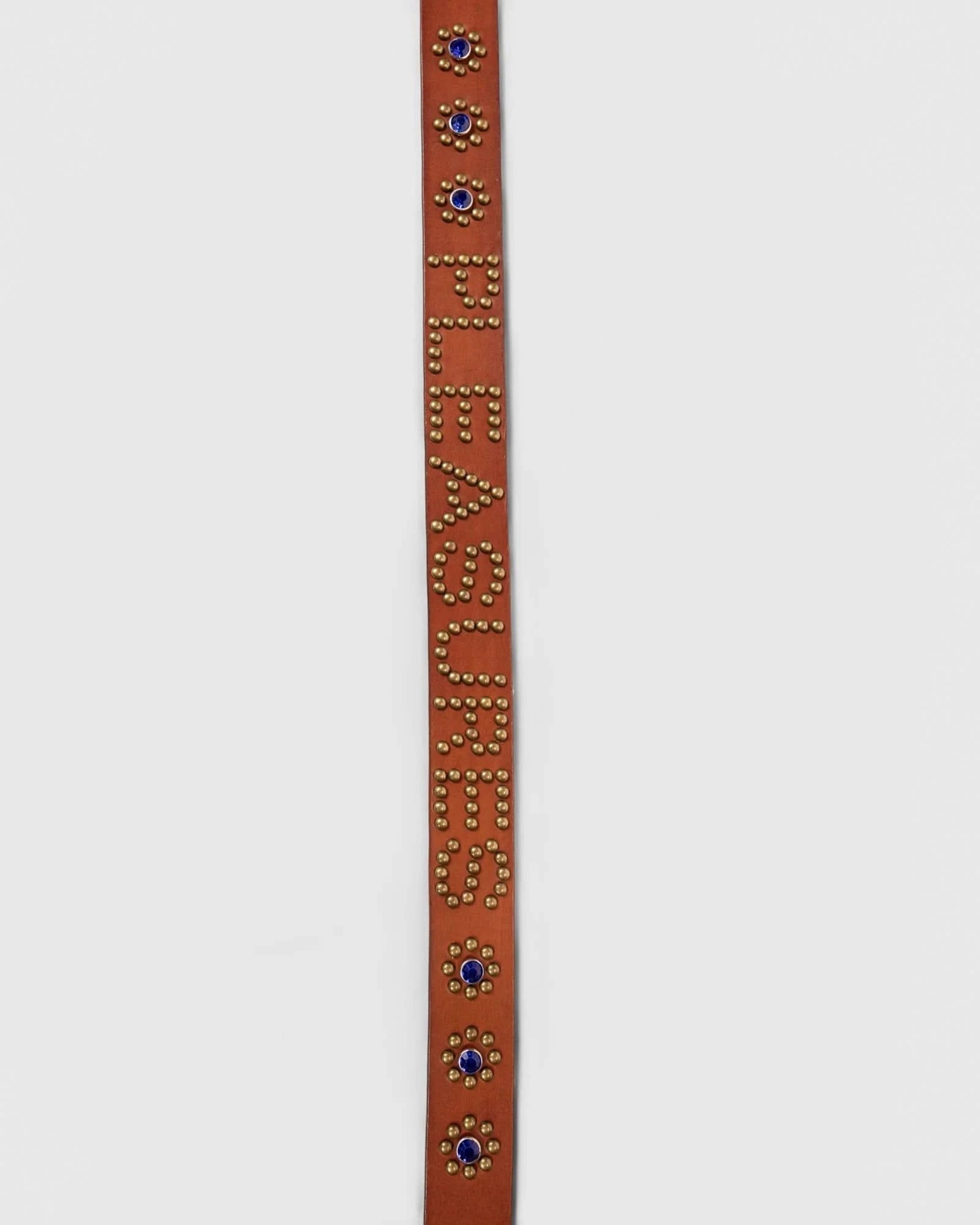 Pleasures Studded Belt