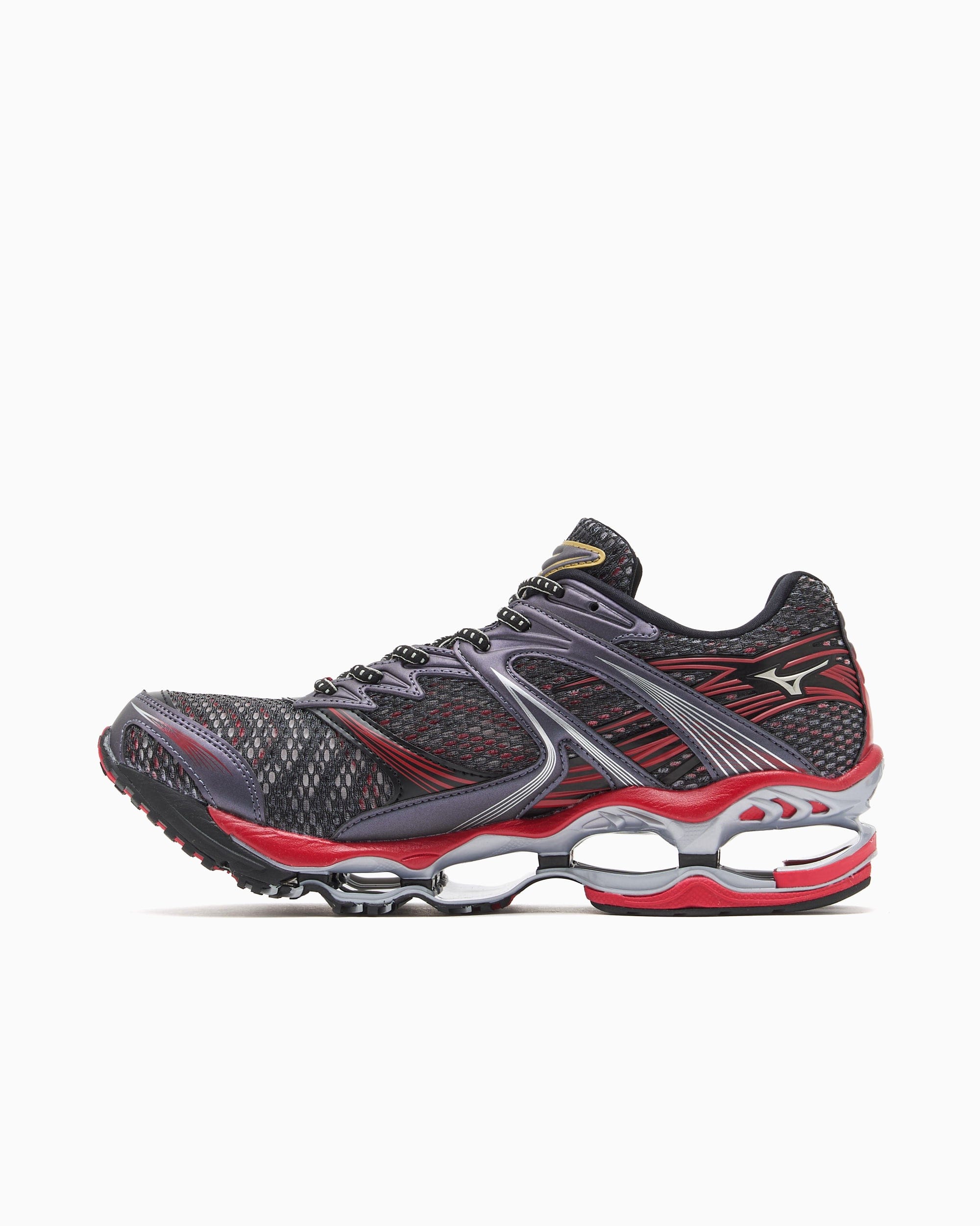 Mizuno Wave Prophecy 1