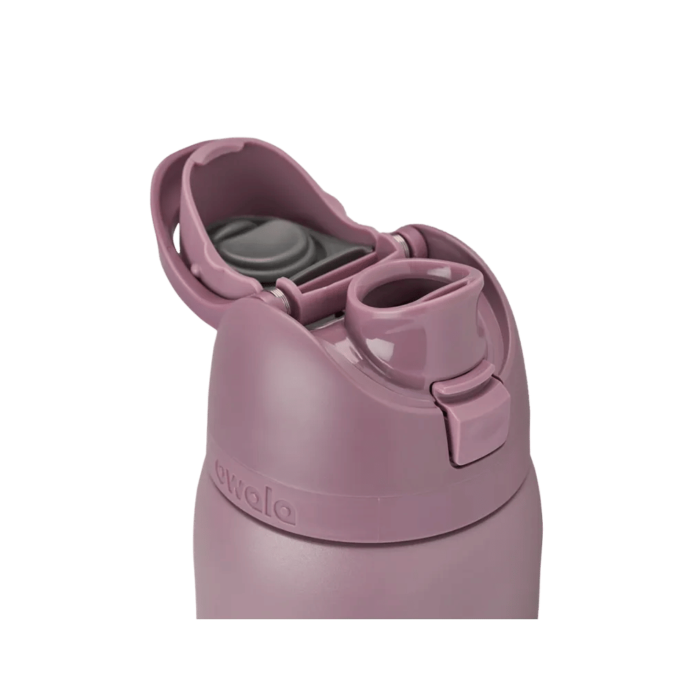 Owala Freesip 32 oz Spring Revival