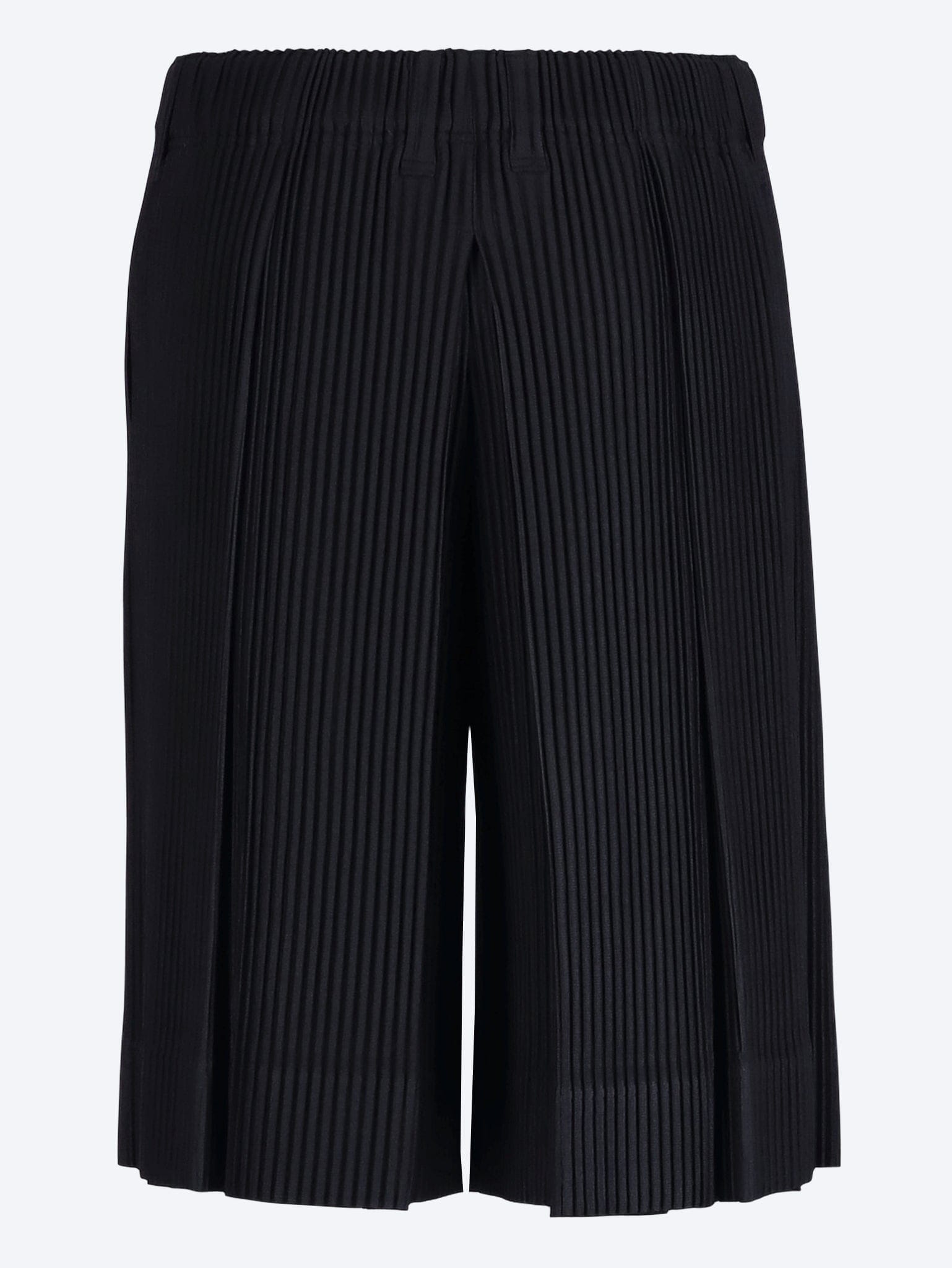 Issey Miyake Tailored pleats 2 pants
