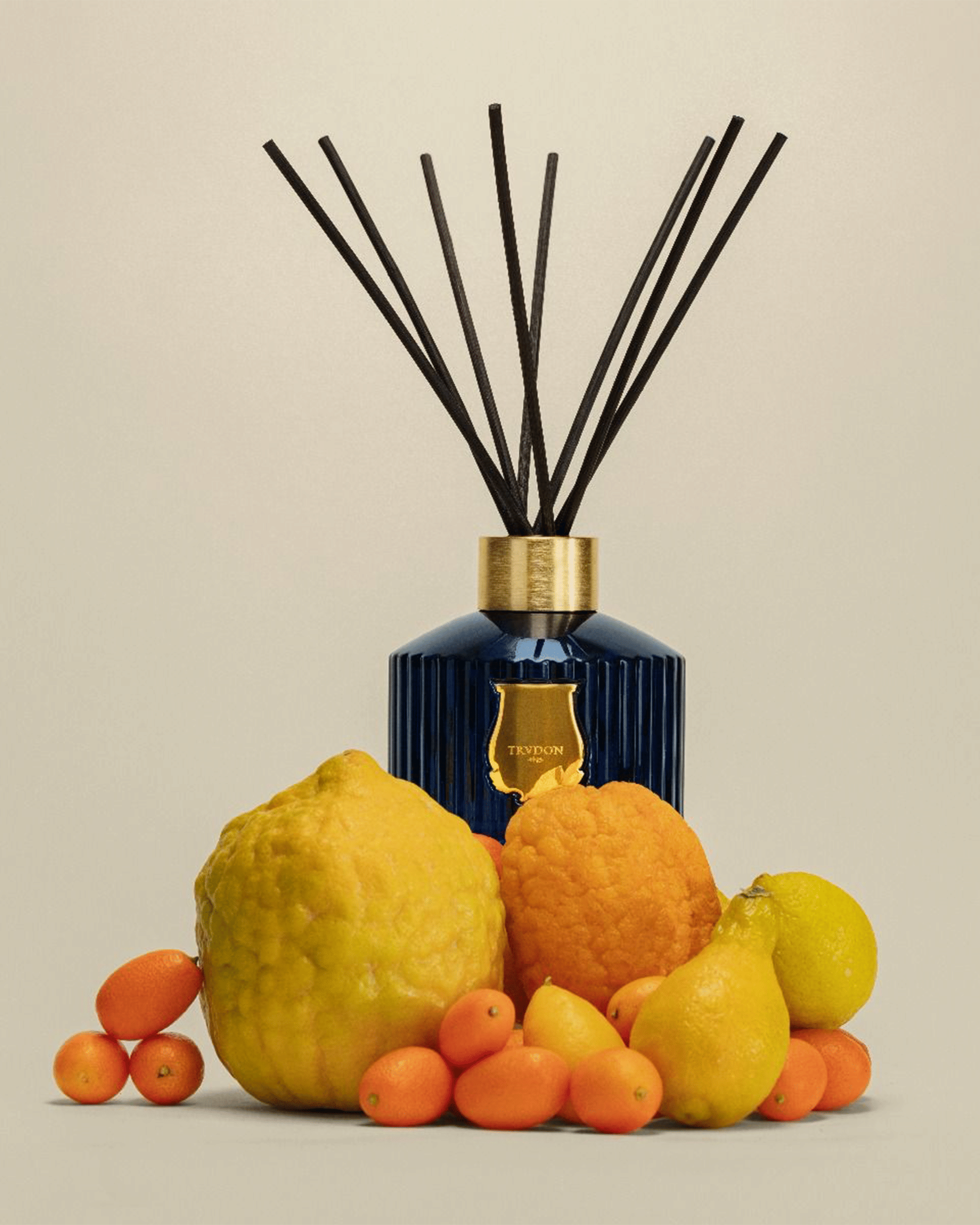 Trudon Reggio Diffuser