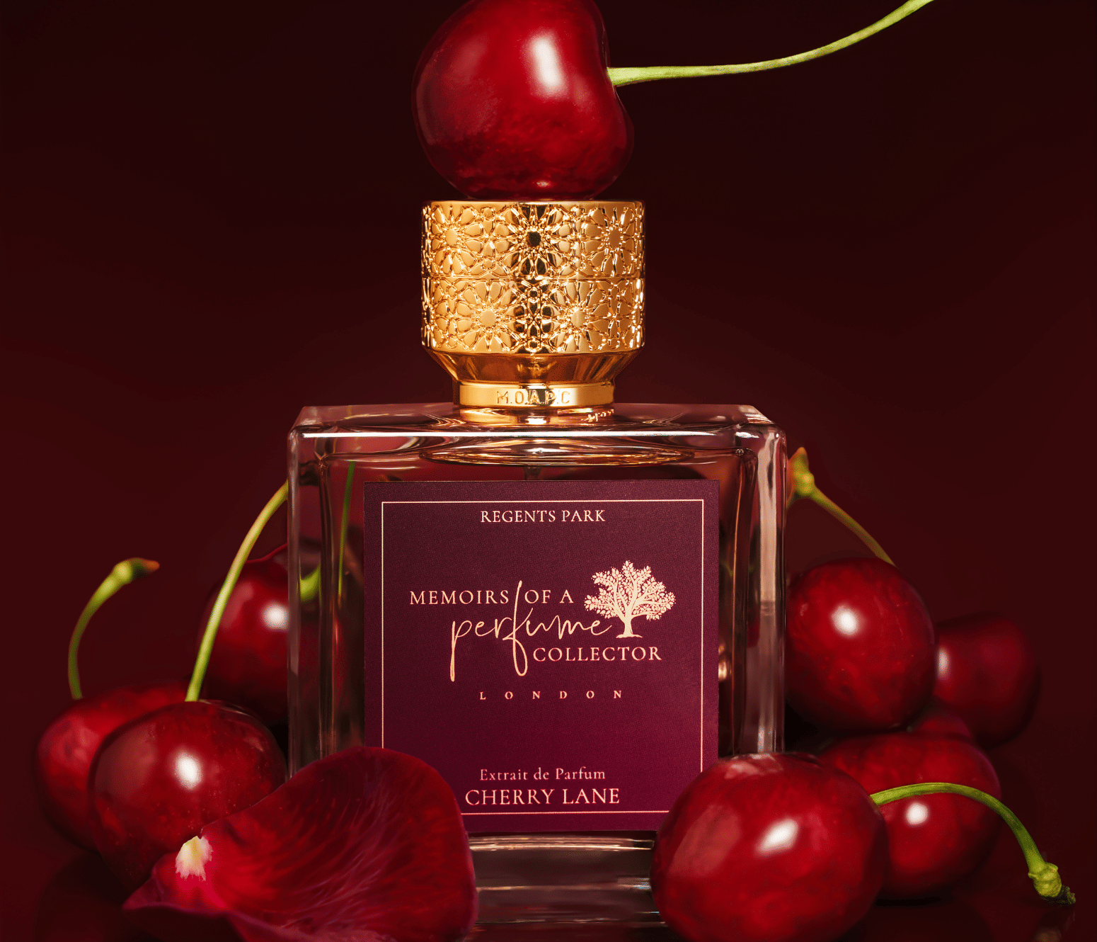 Memoirs of A Perfume Collector Cherry Lane