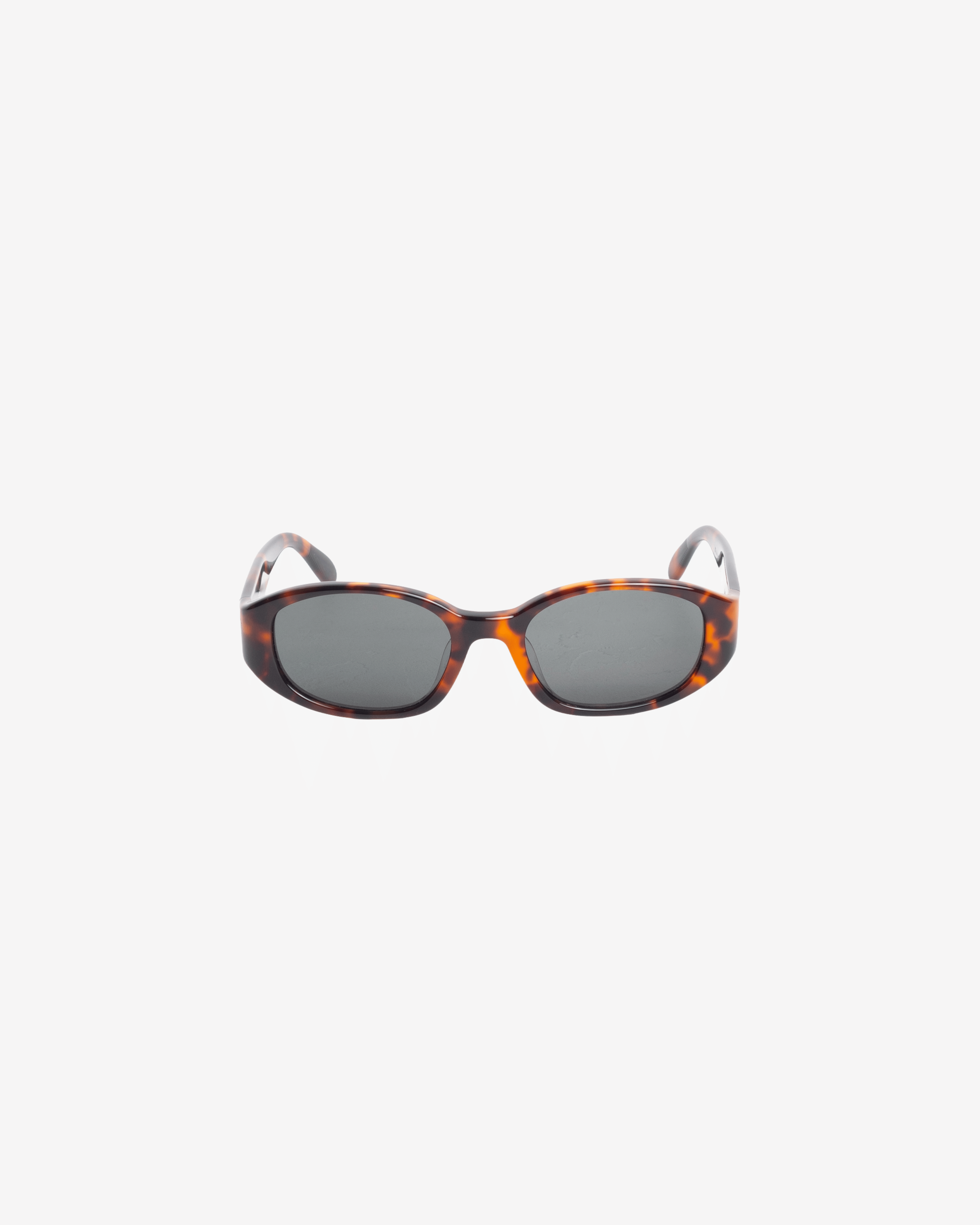 Stüssy - Roman Sunglasses - (Brown Tortoise/Black)