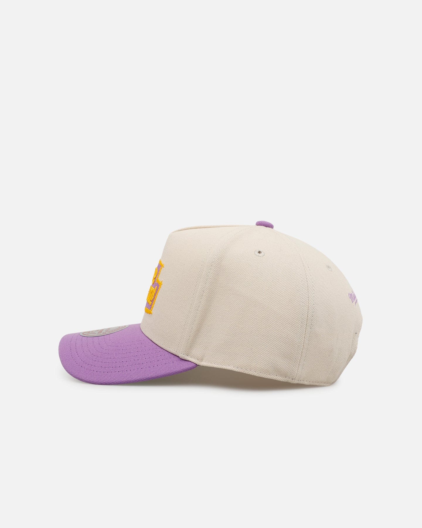 Mitchell & NESS Los Angeles Lakers Love Pro Pinch Snapback OTC